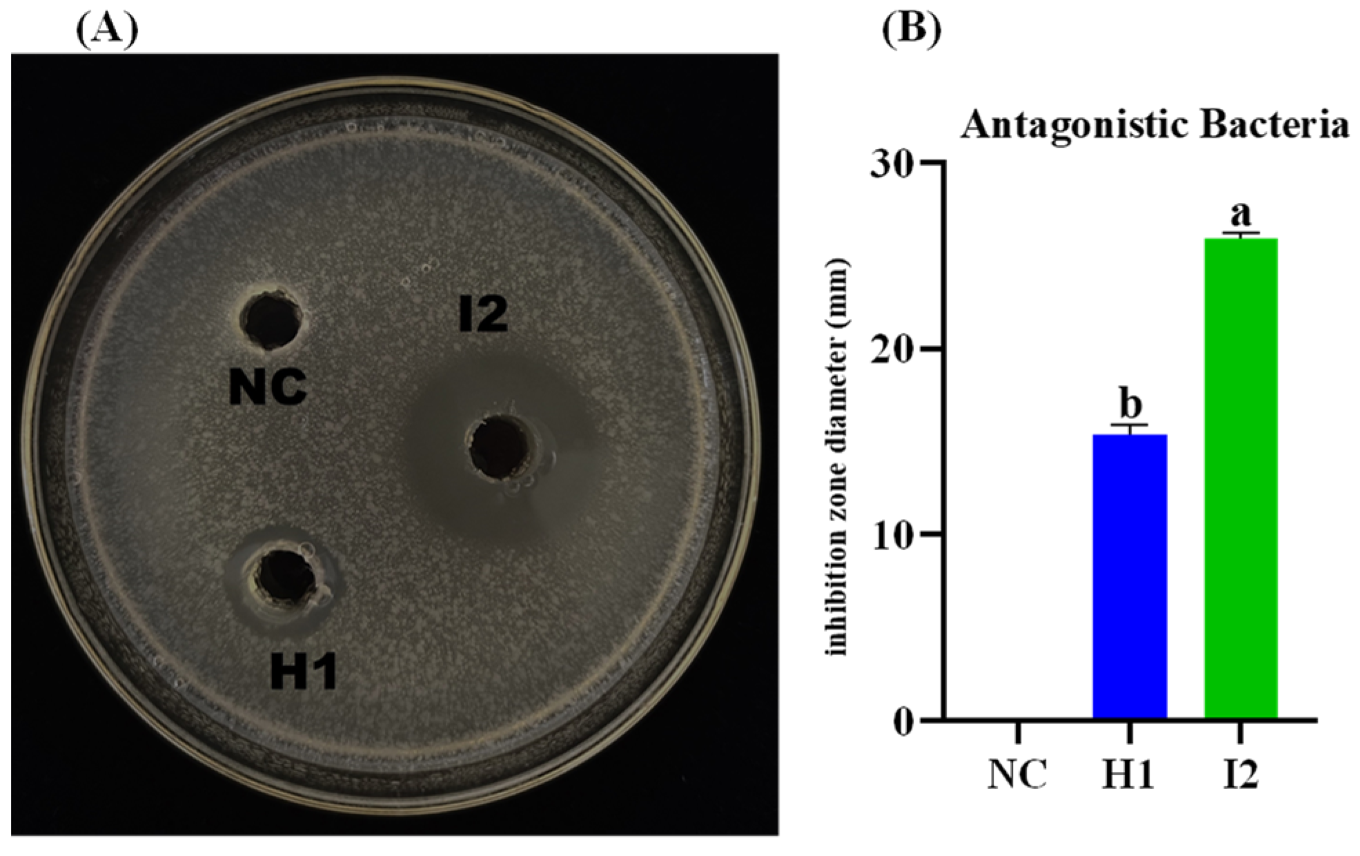 Microorganisms 12 00896 g004