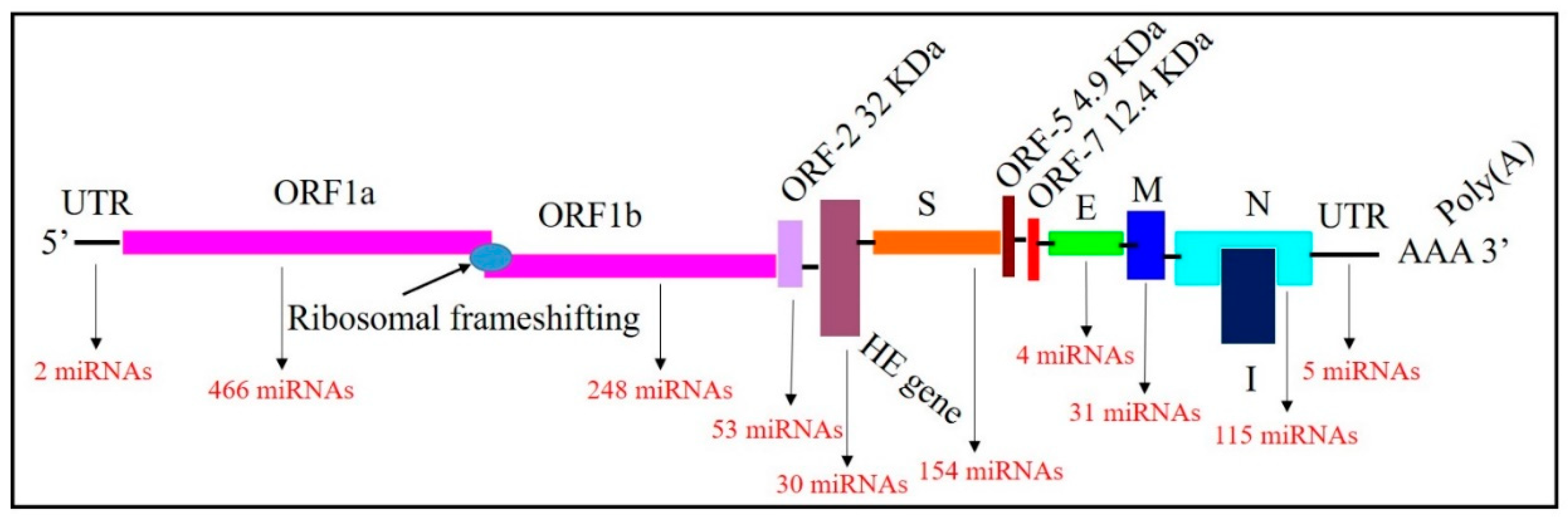Microorganisms 12 00897 g001