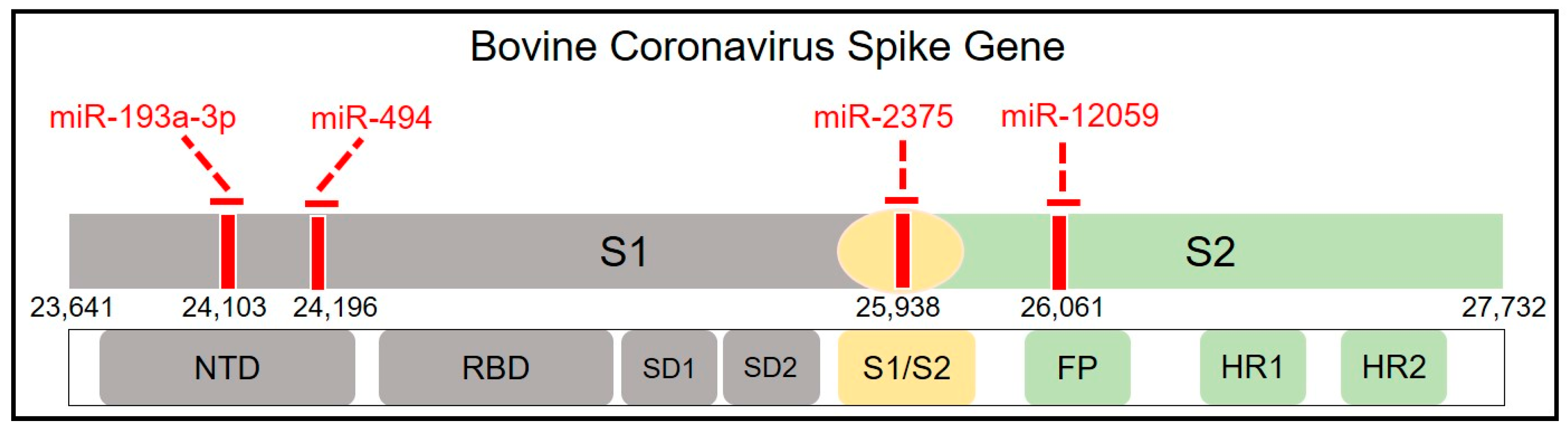 Microorganisms 12 00897 g002