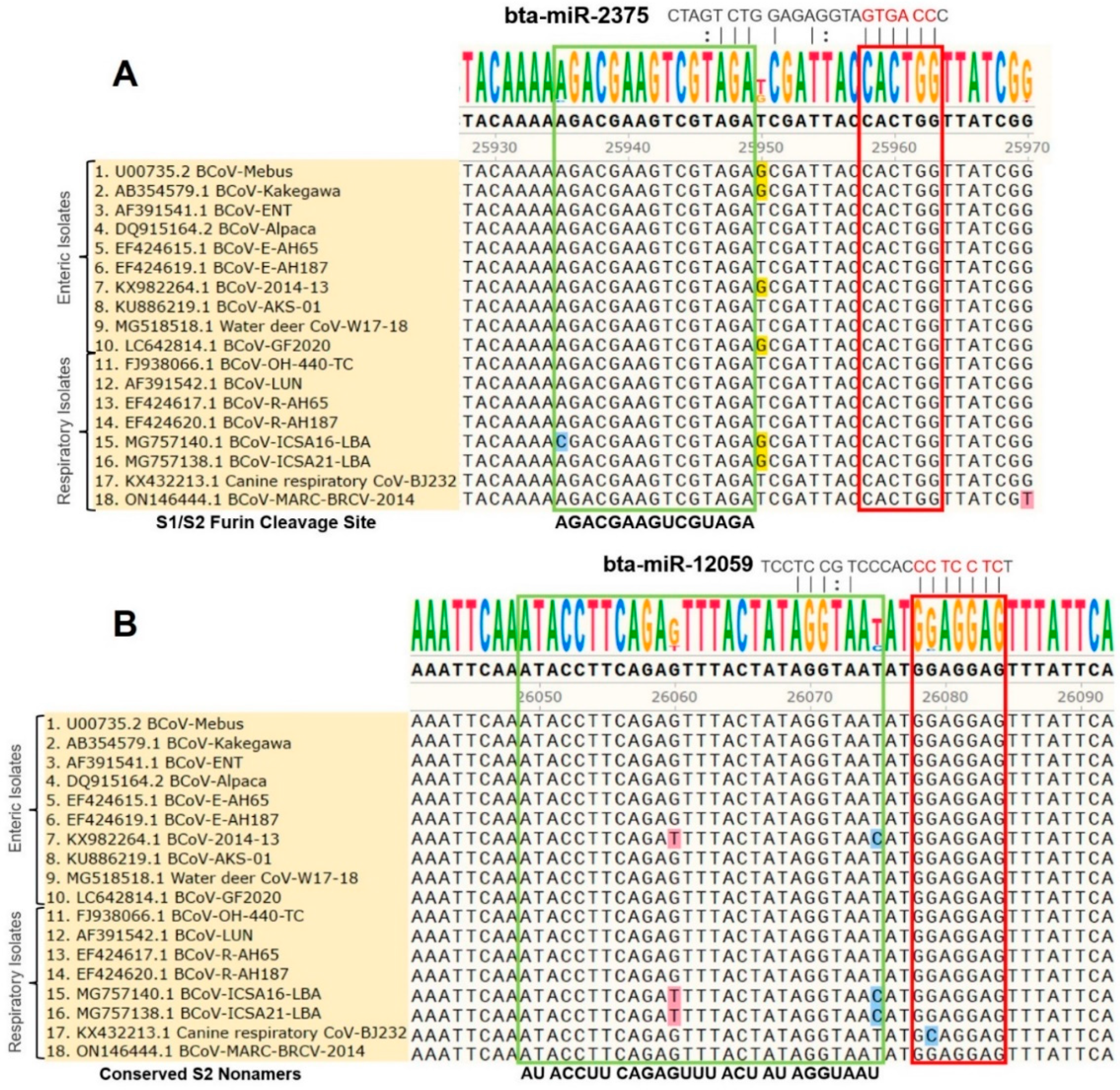 Microorganisms 12 00897 g004