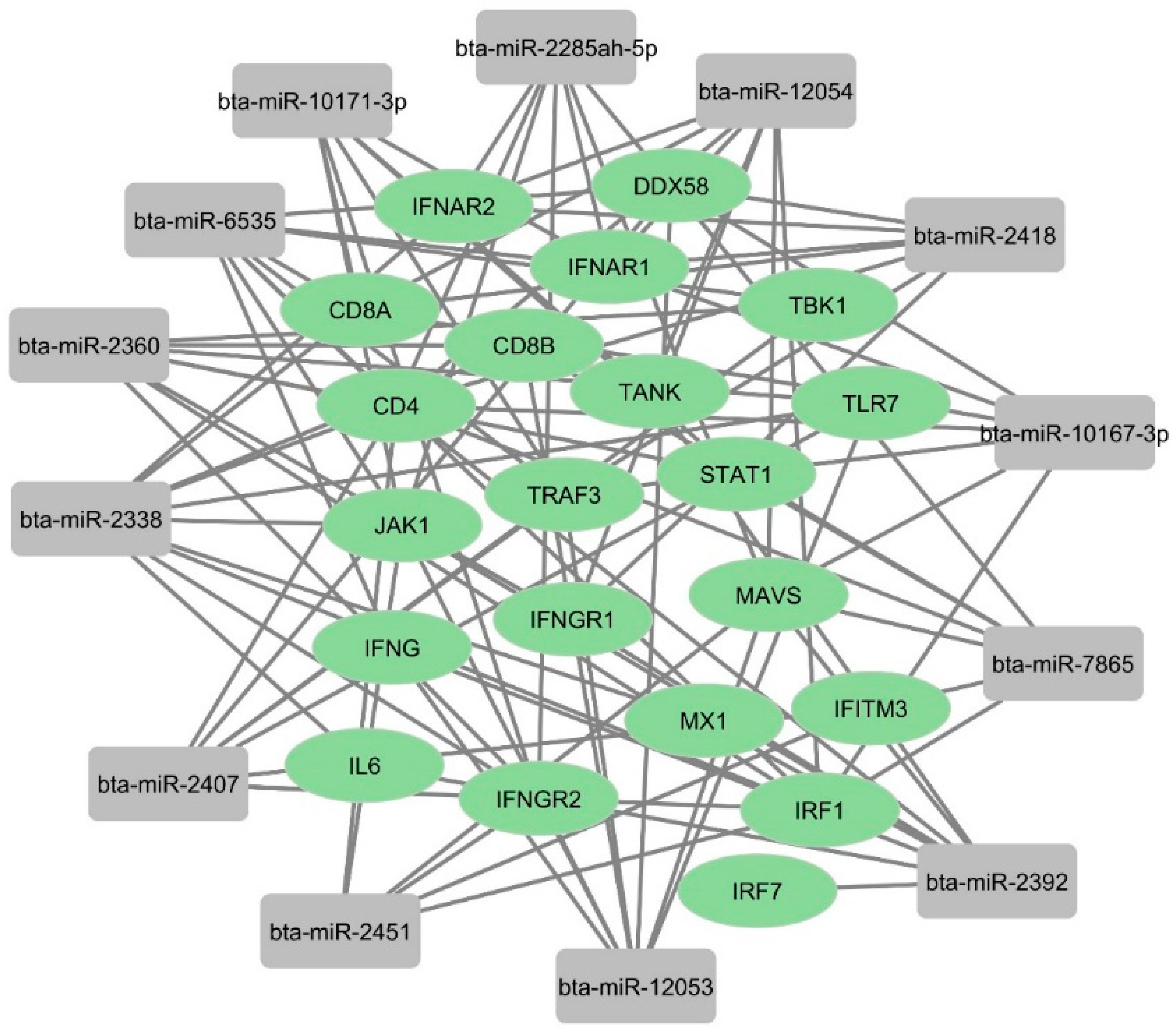 Microorganisms 12 00897 g009