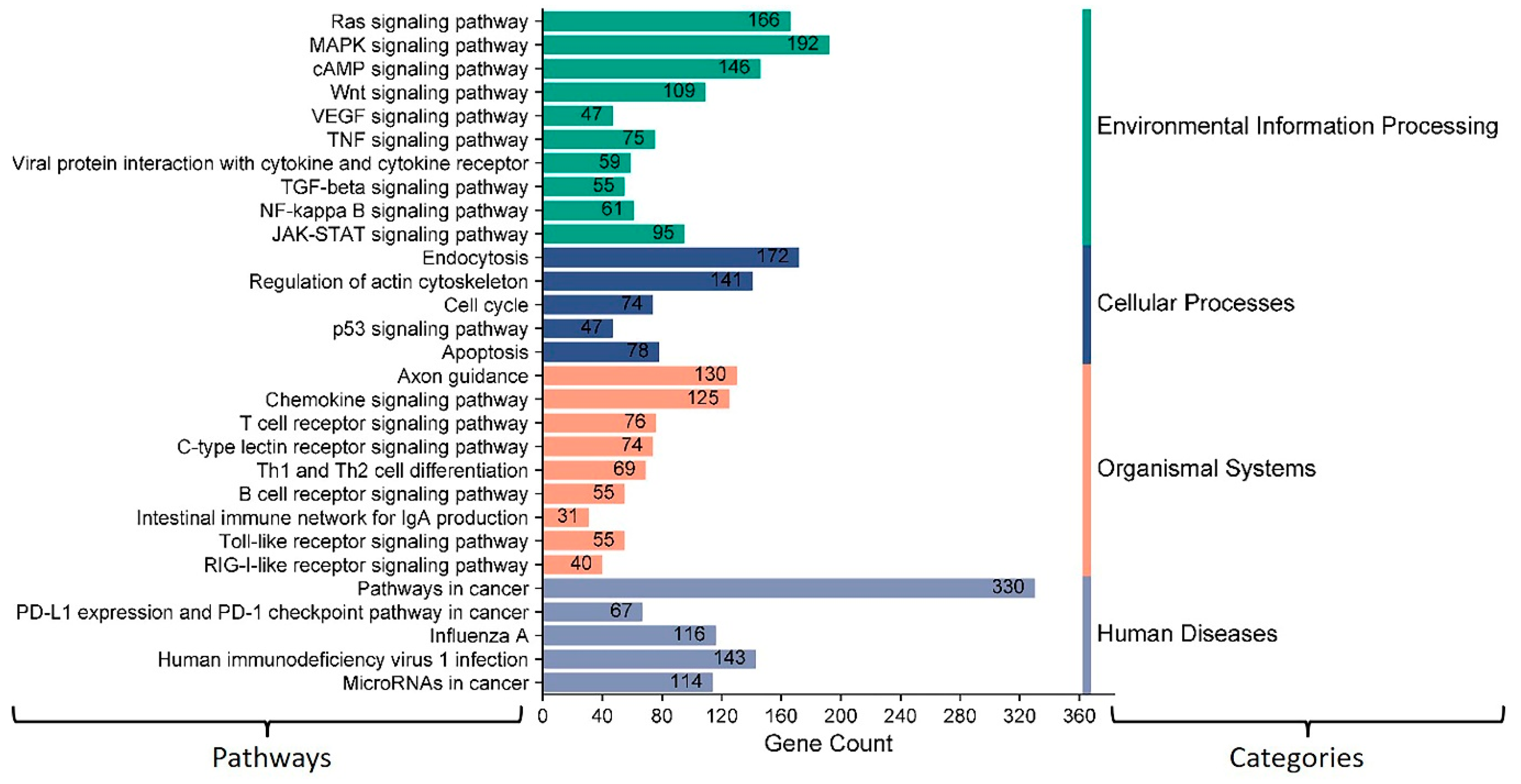 Microorganisms 12 00897 g012