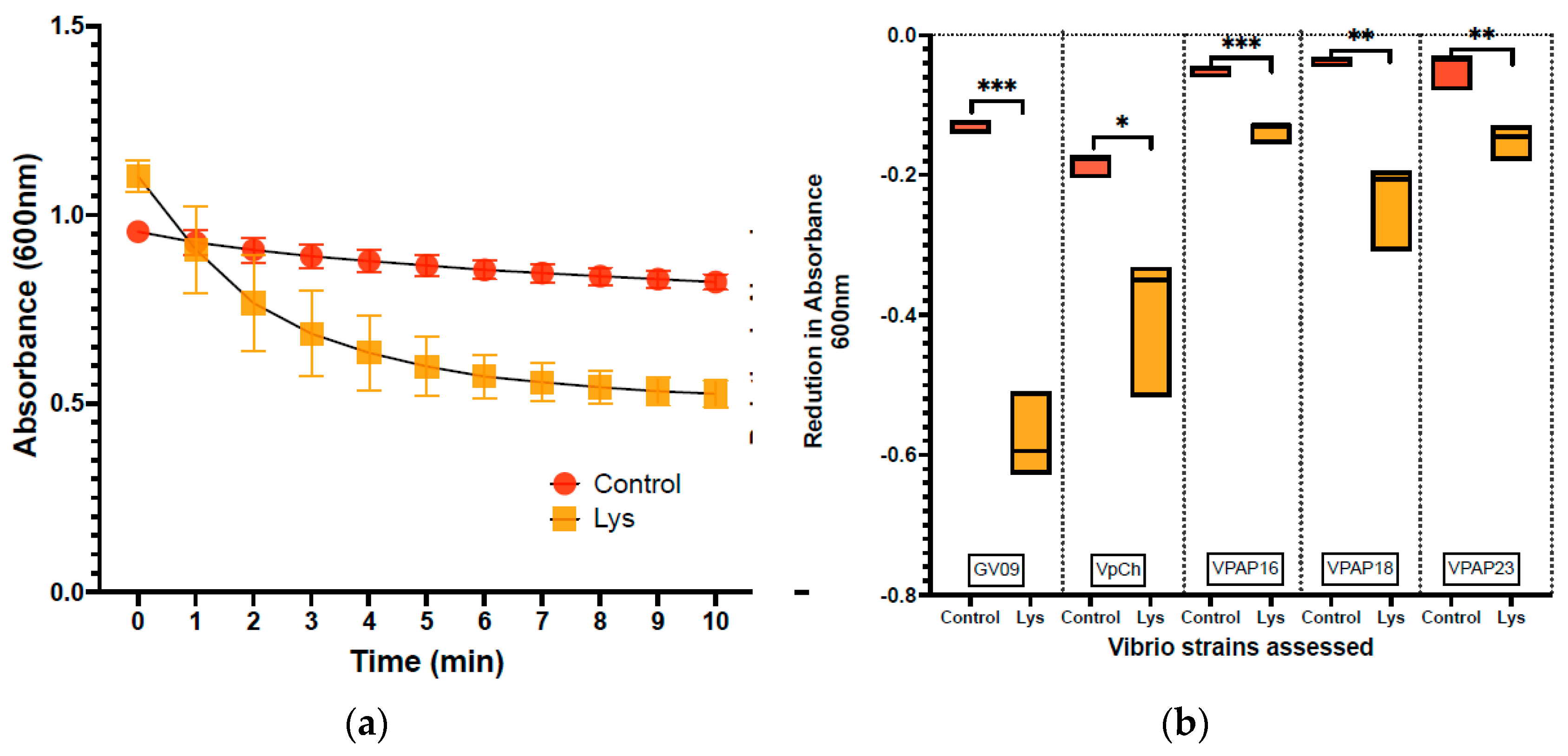 Microorganisms 12 00904 g001