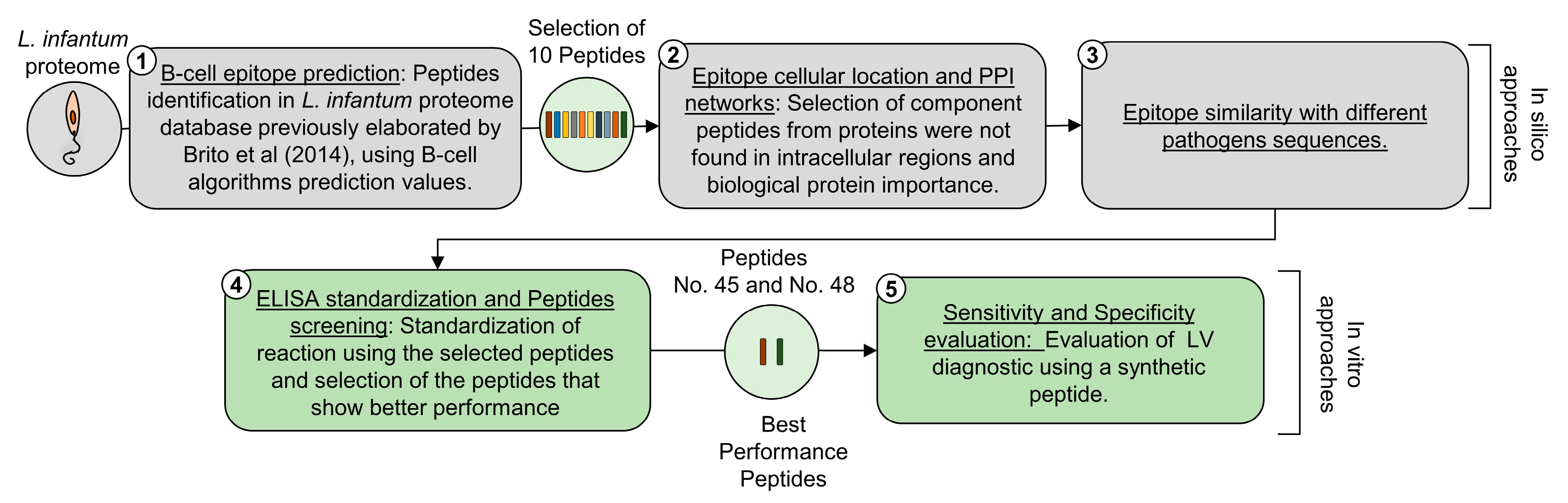 Microorganisms 12 00906 g001 Microorganisms 12 00906 g001