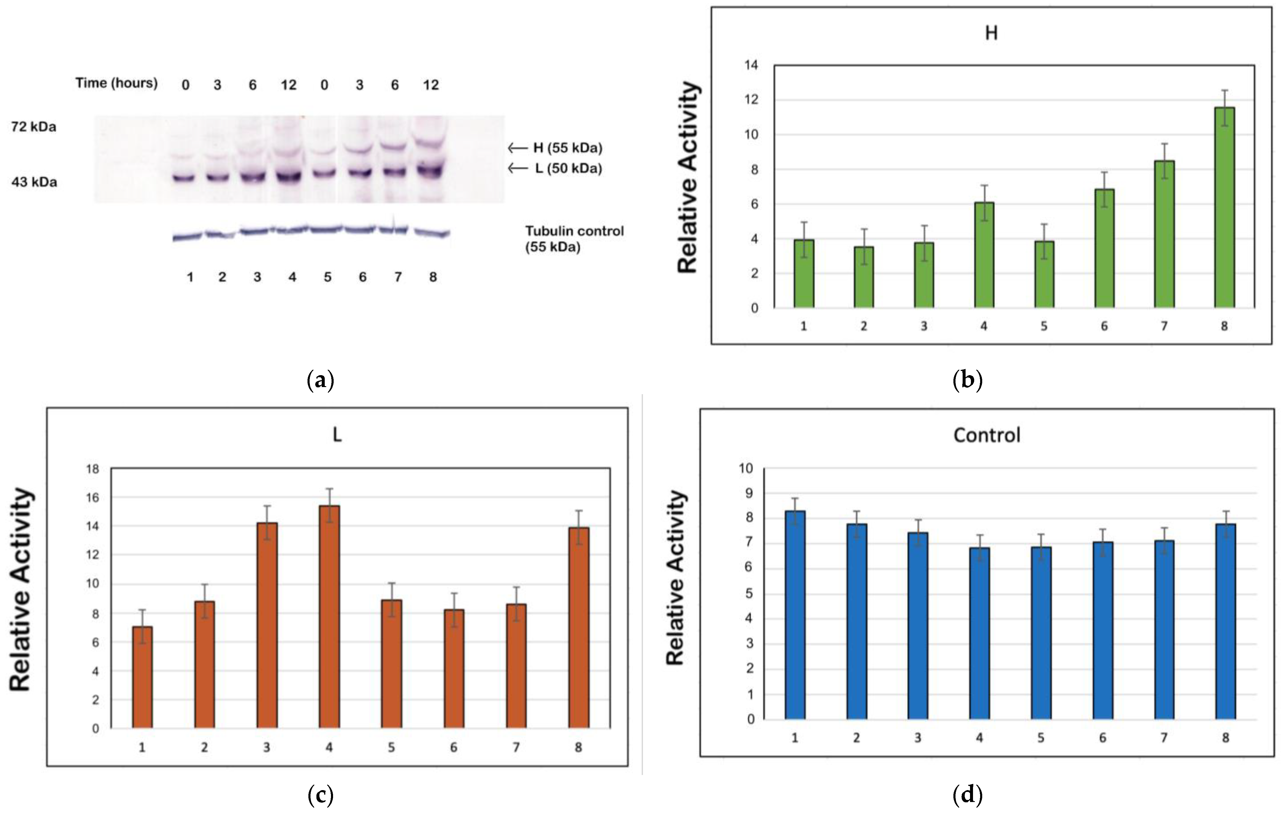 Microorganisms 12 00907 g007