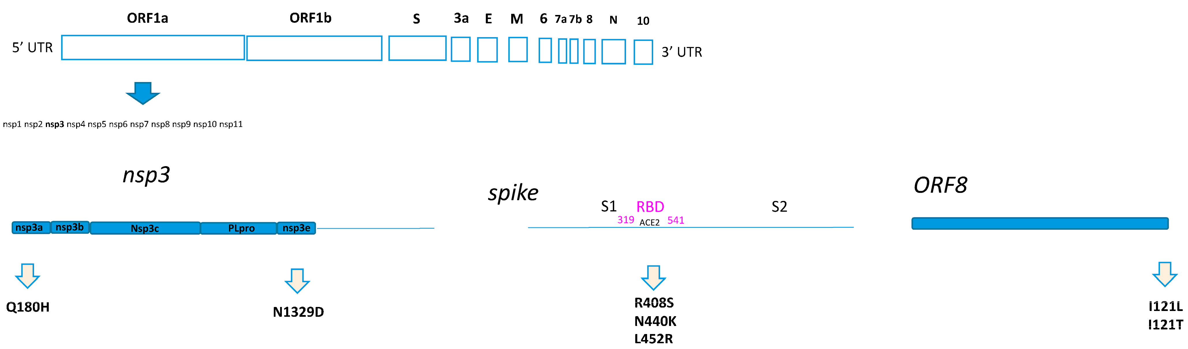 Microorganisms 12 00908 g001