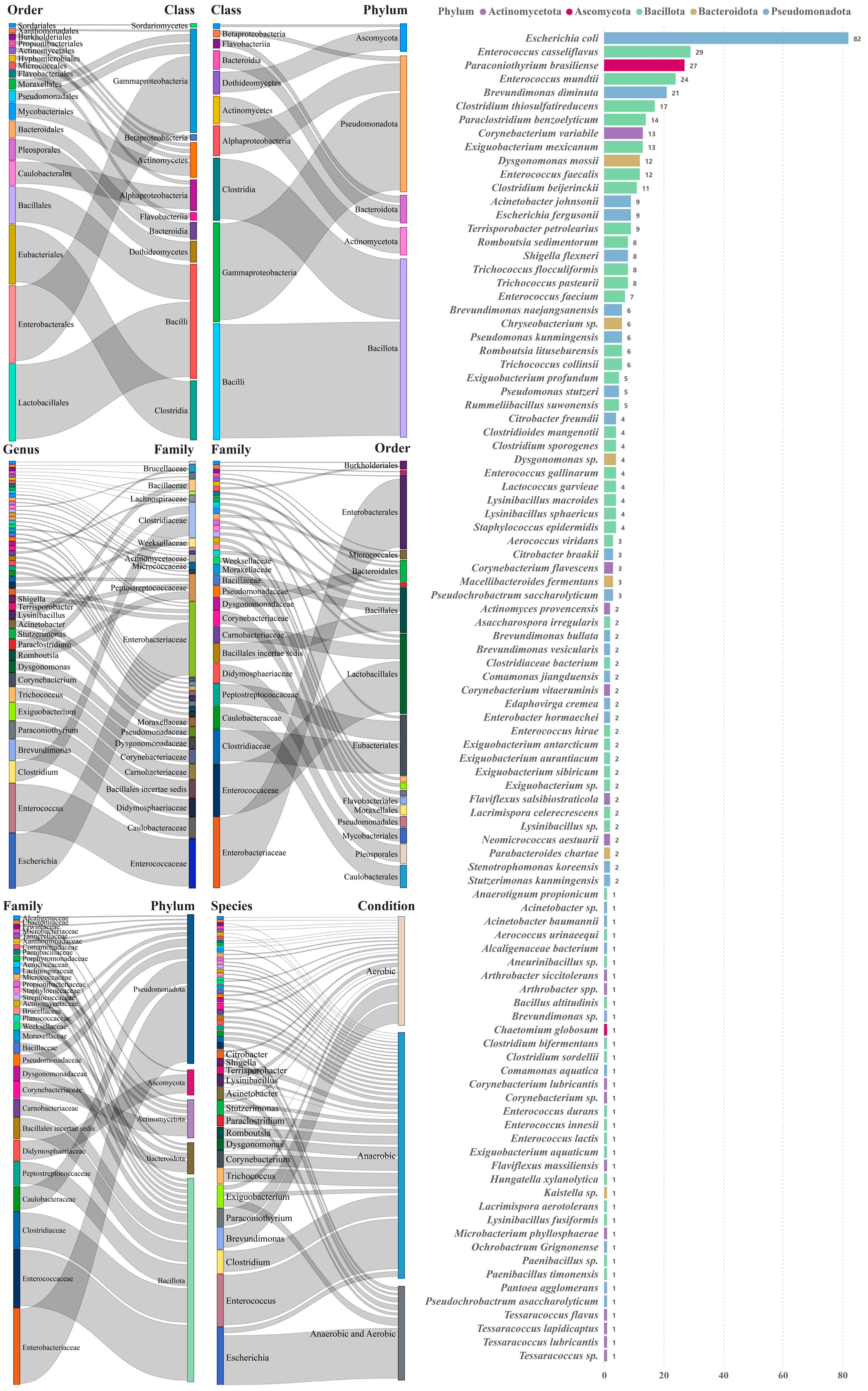 Microorganisms 12 00911 g003 Microorganisms 12 00911 g003