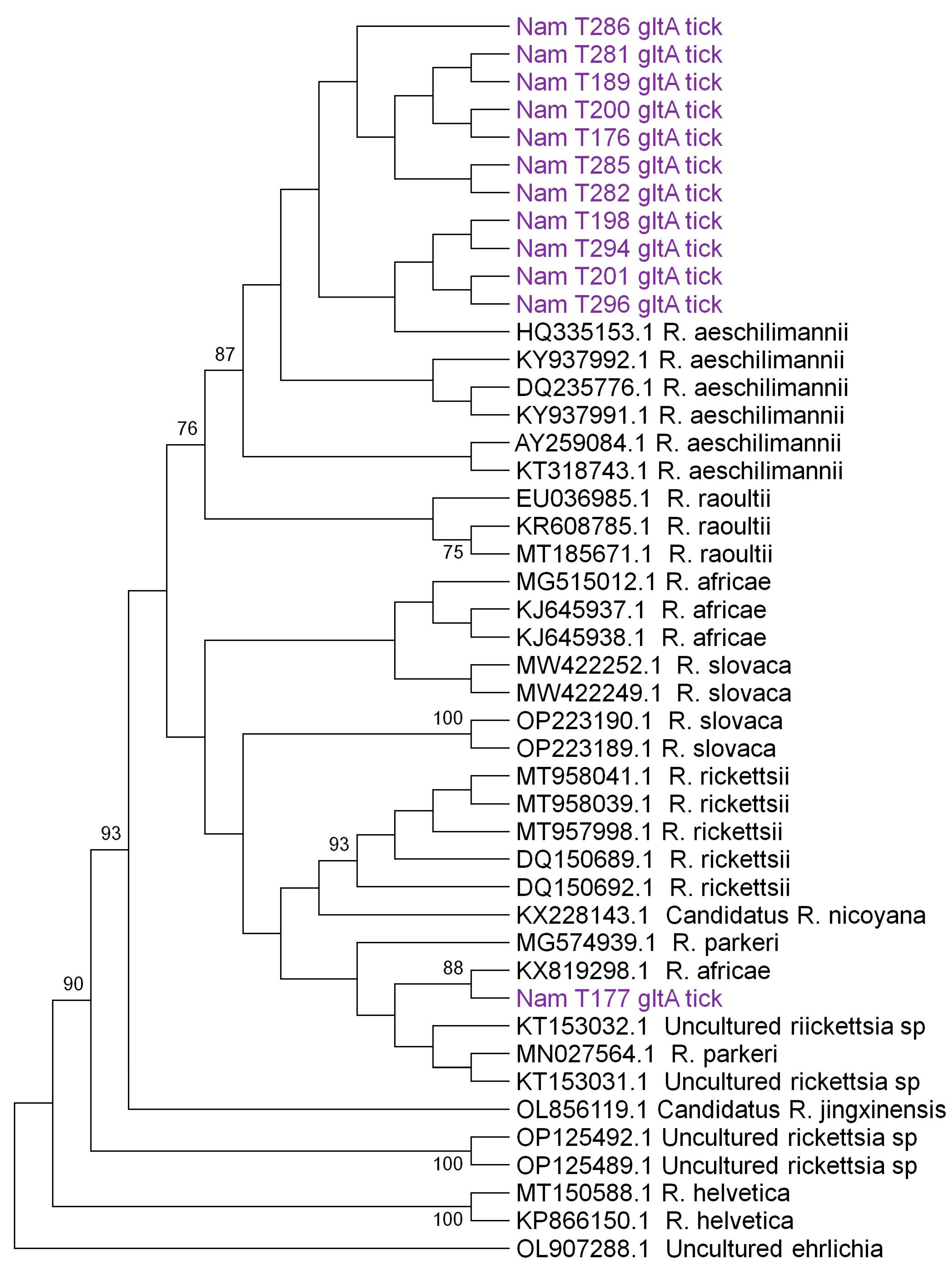 Microorganisms 12 00912 g002 Microorganisms 12 00912 g002