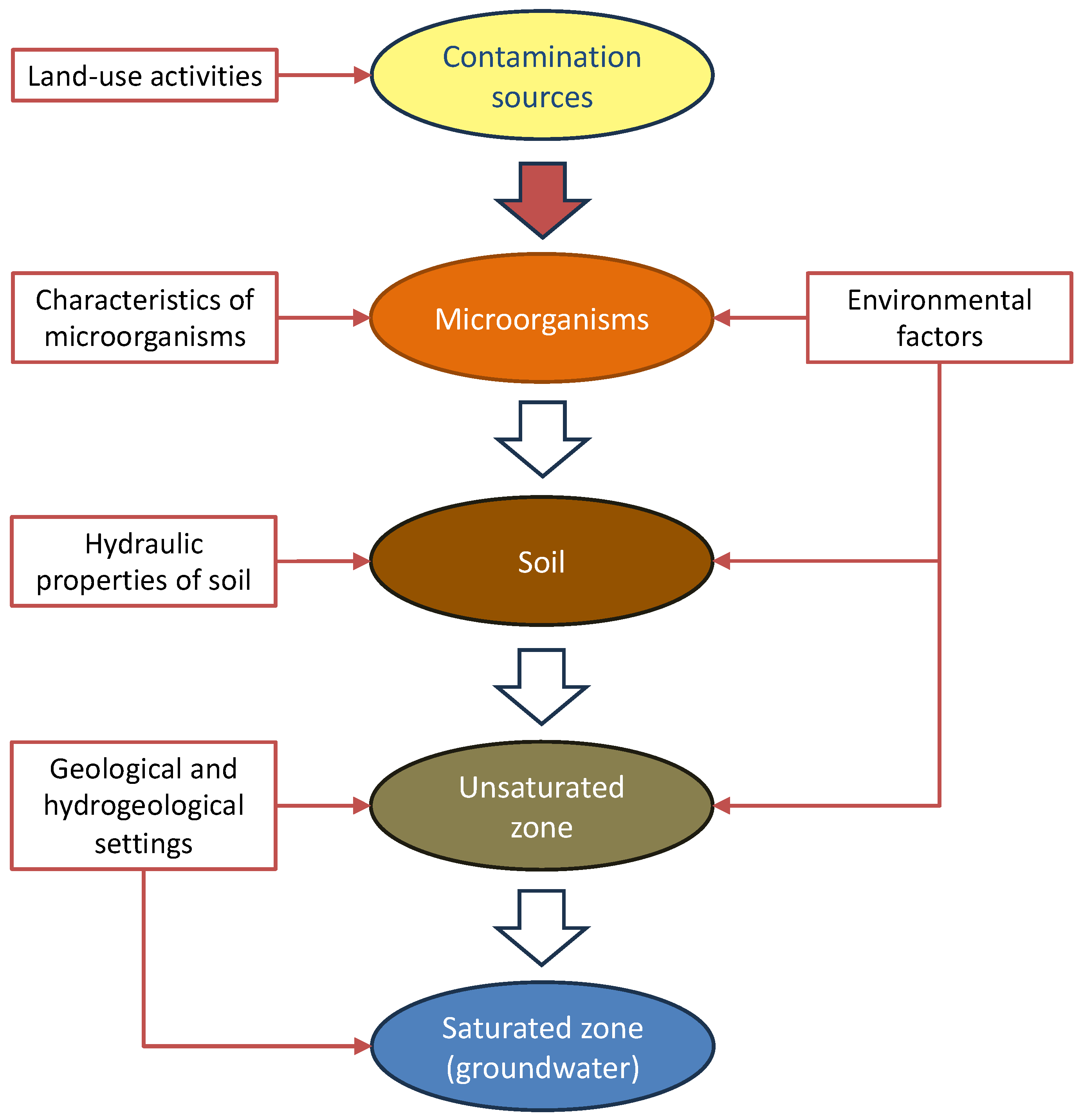 Microorganisms 12 00913 g003
