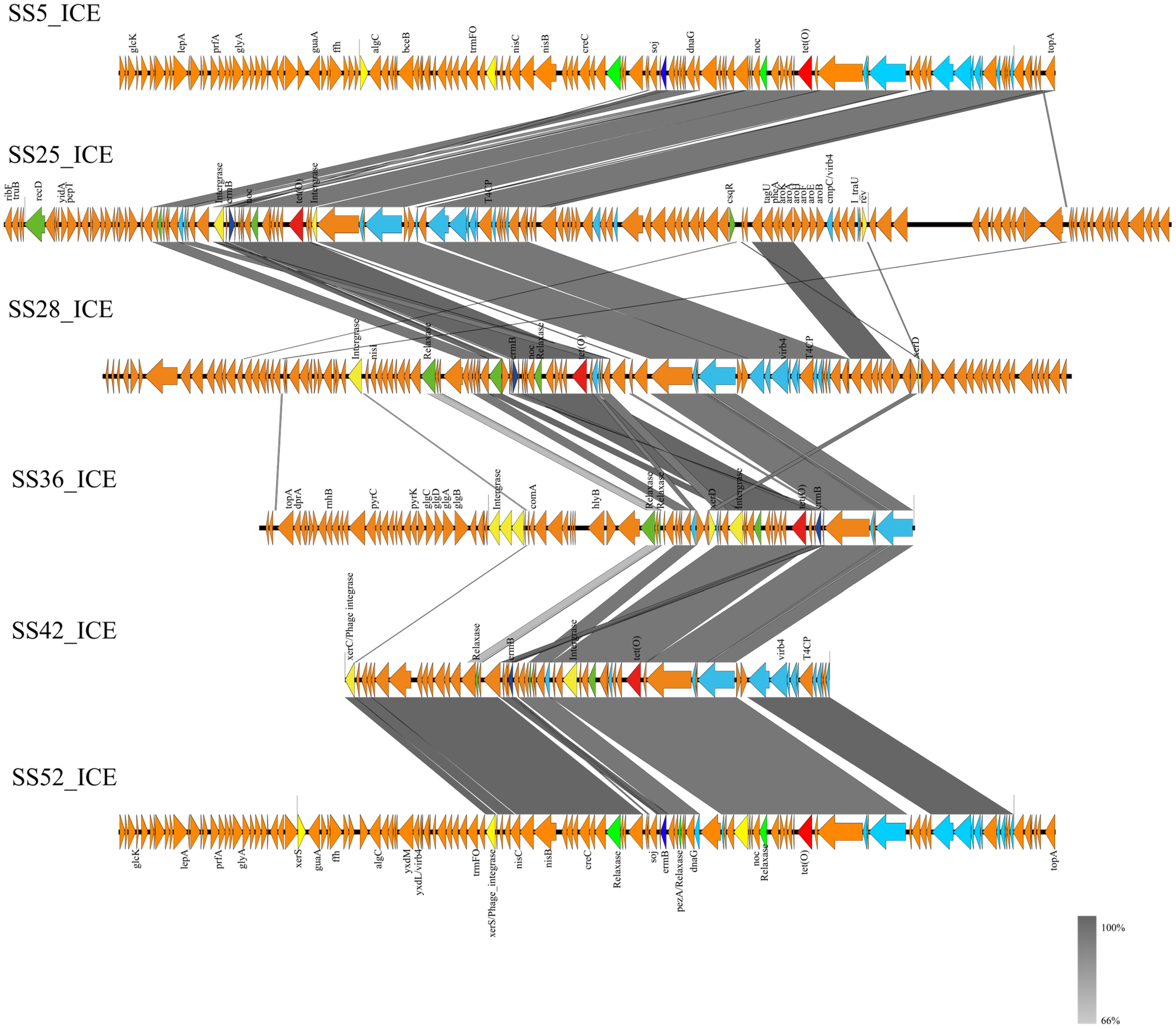 Microorganisms 12 00917 g005