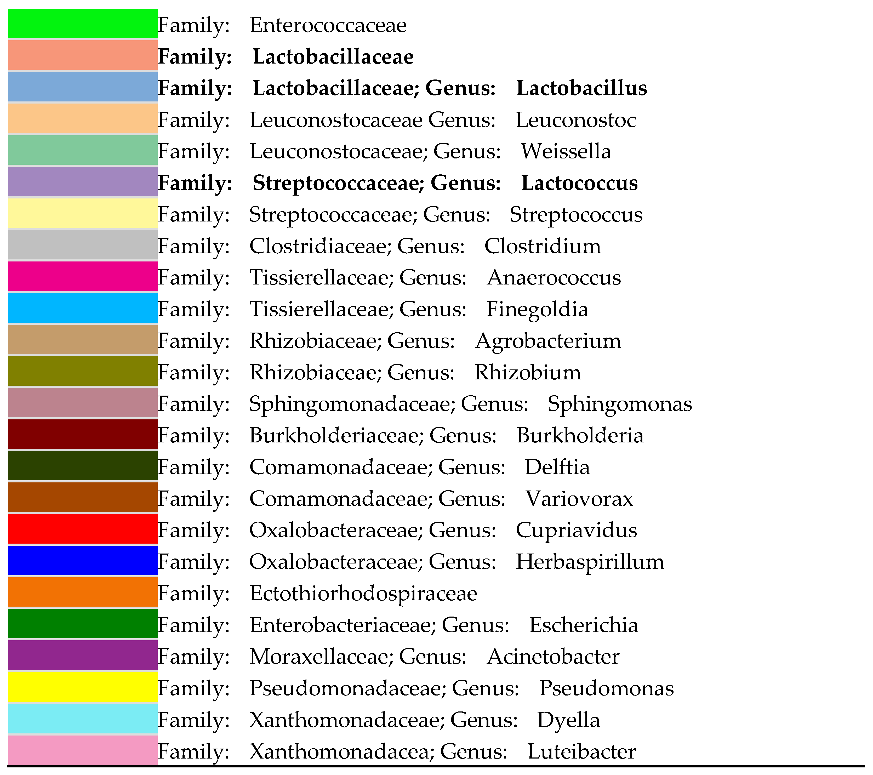 Microorganisms 12 00919 g001b