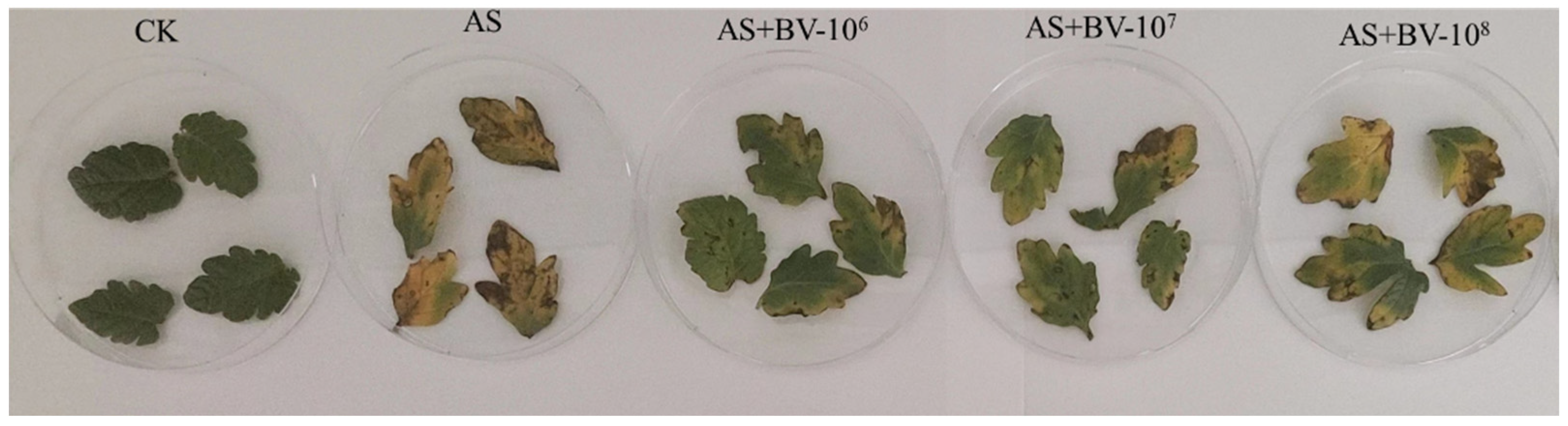 Microorganisms 12 00921 g002