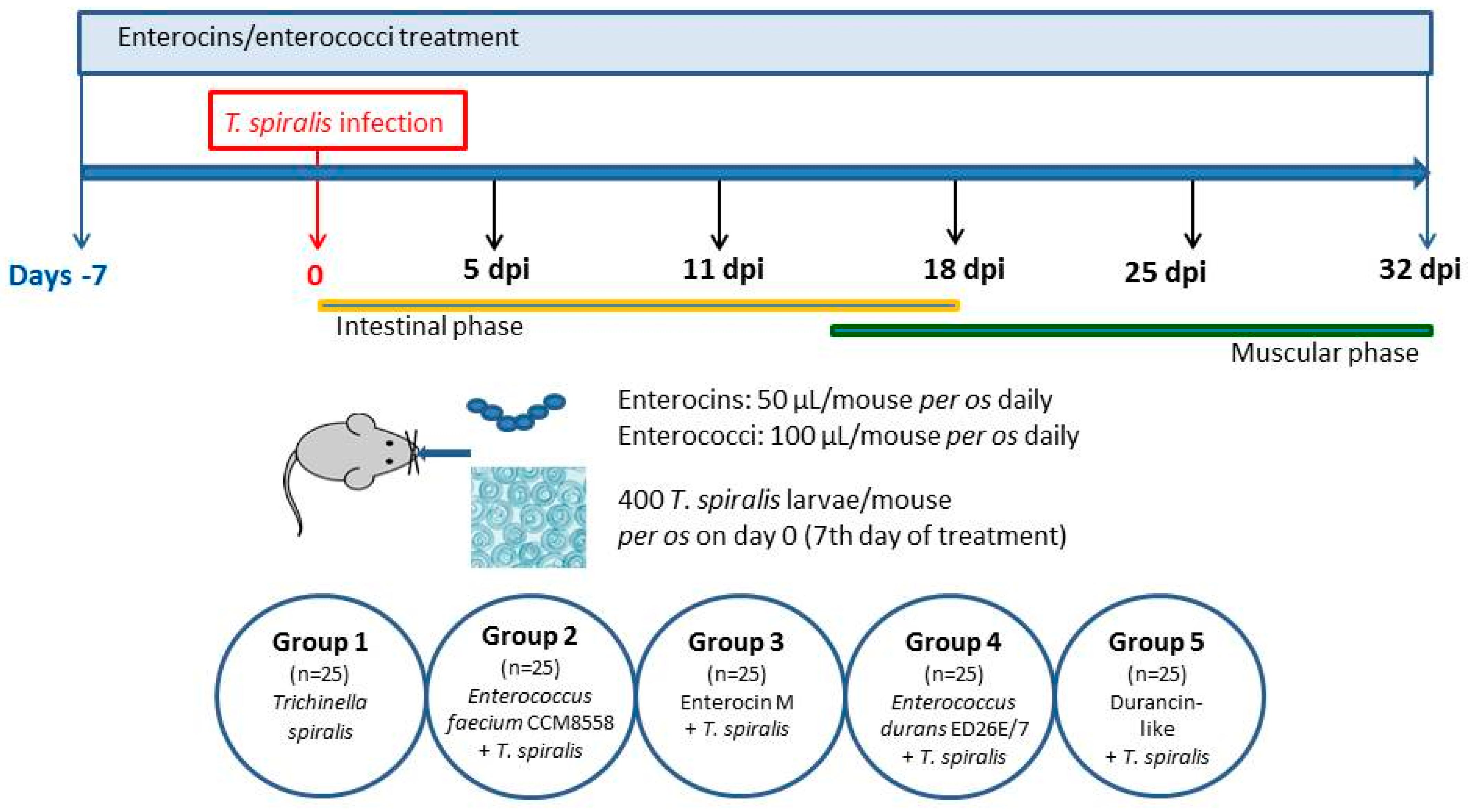 Microorganisms 12 00923 g001