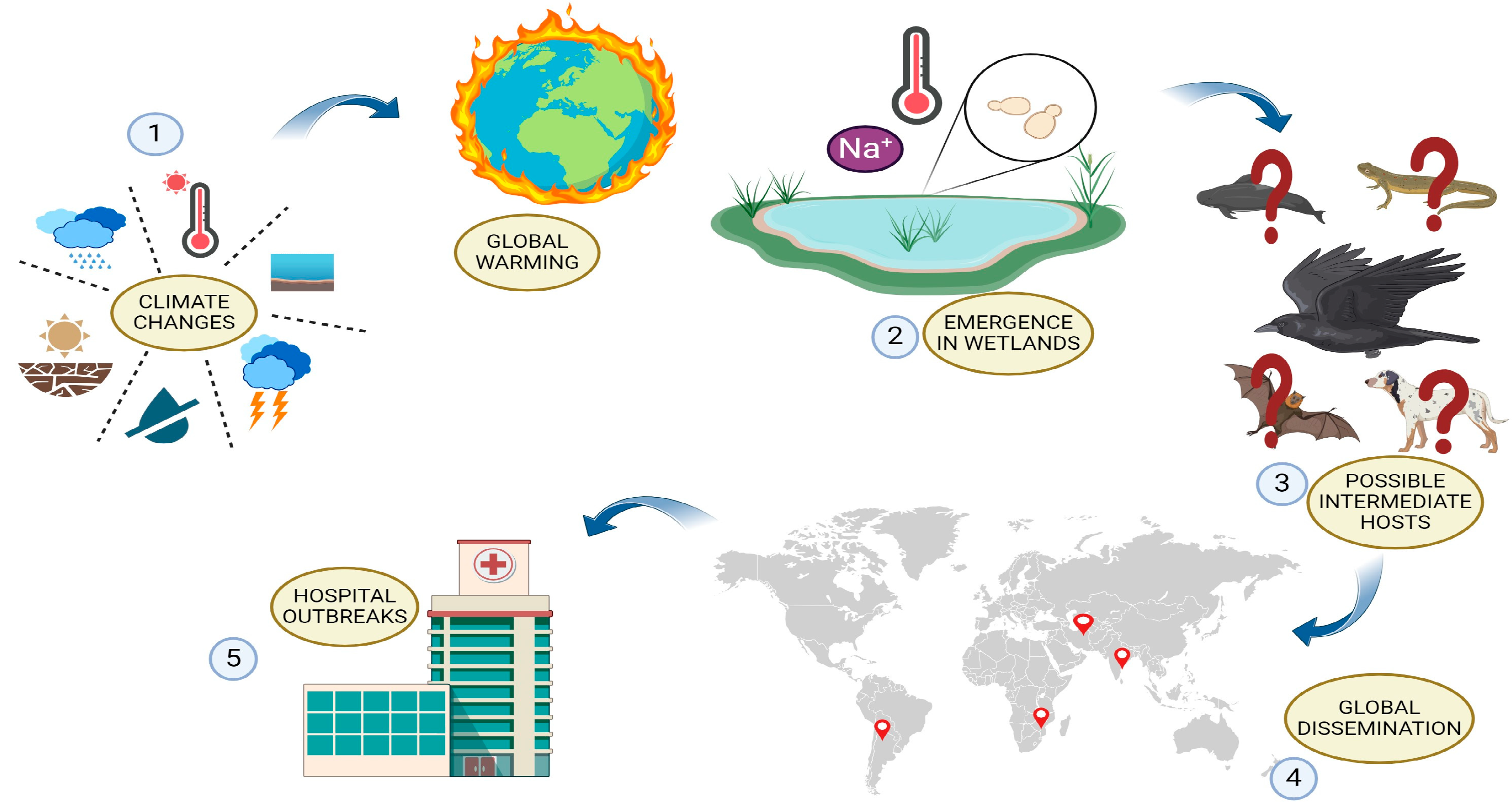 Microorganisms 12 00927 g003