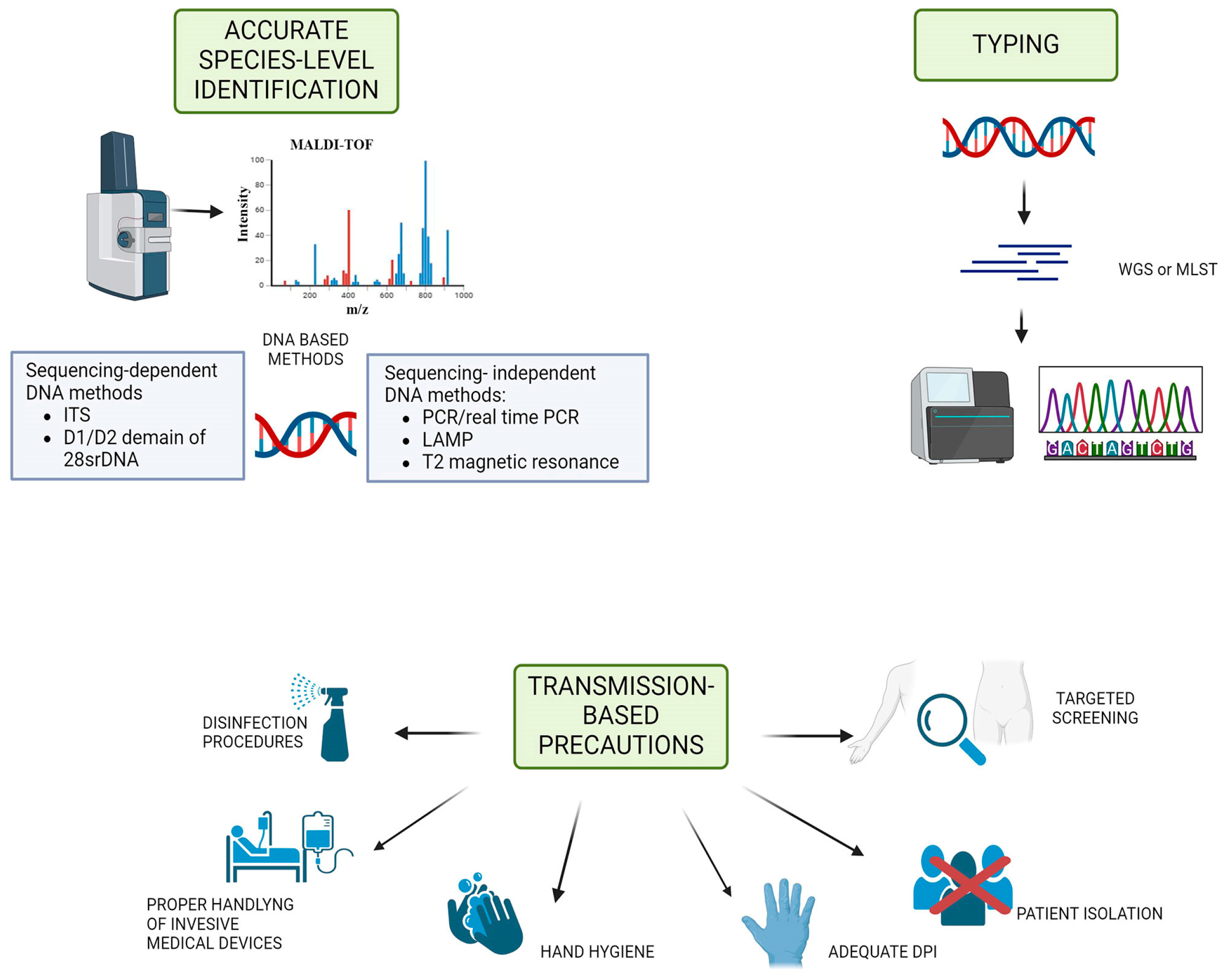 Microorganisms 12 00927 g004