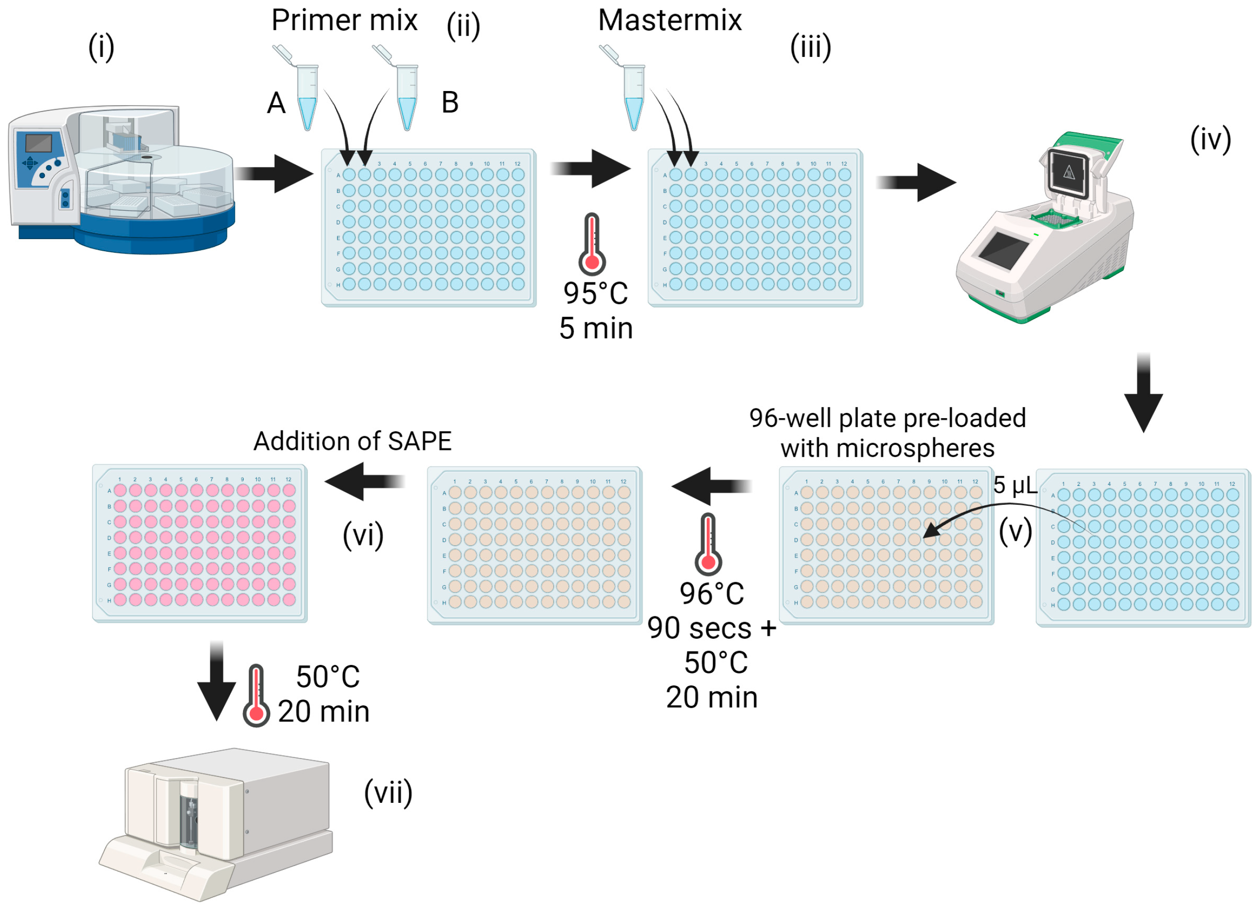 Microorganisms 12 00932 g001