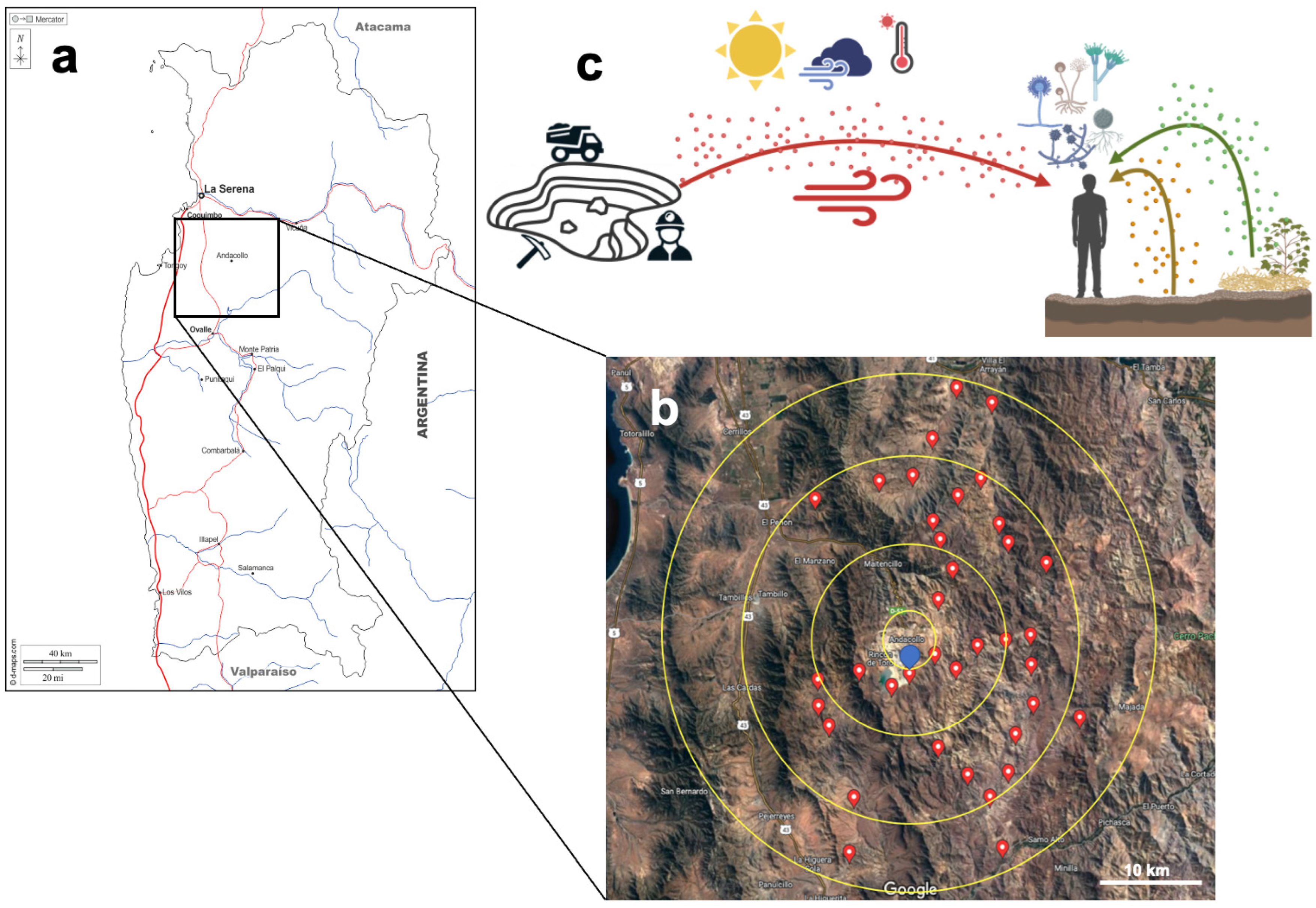 Microorganisms 12 00934 g001