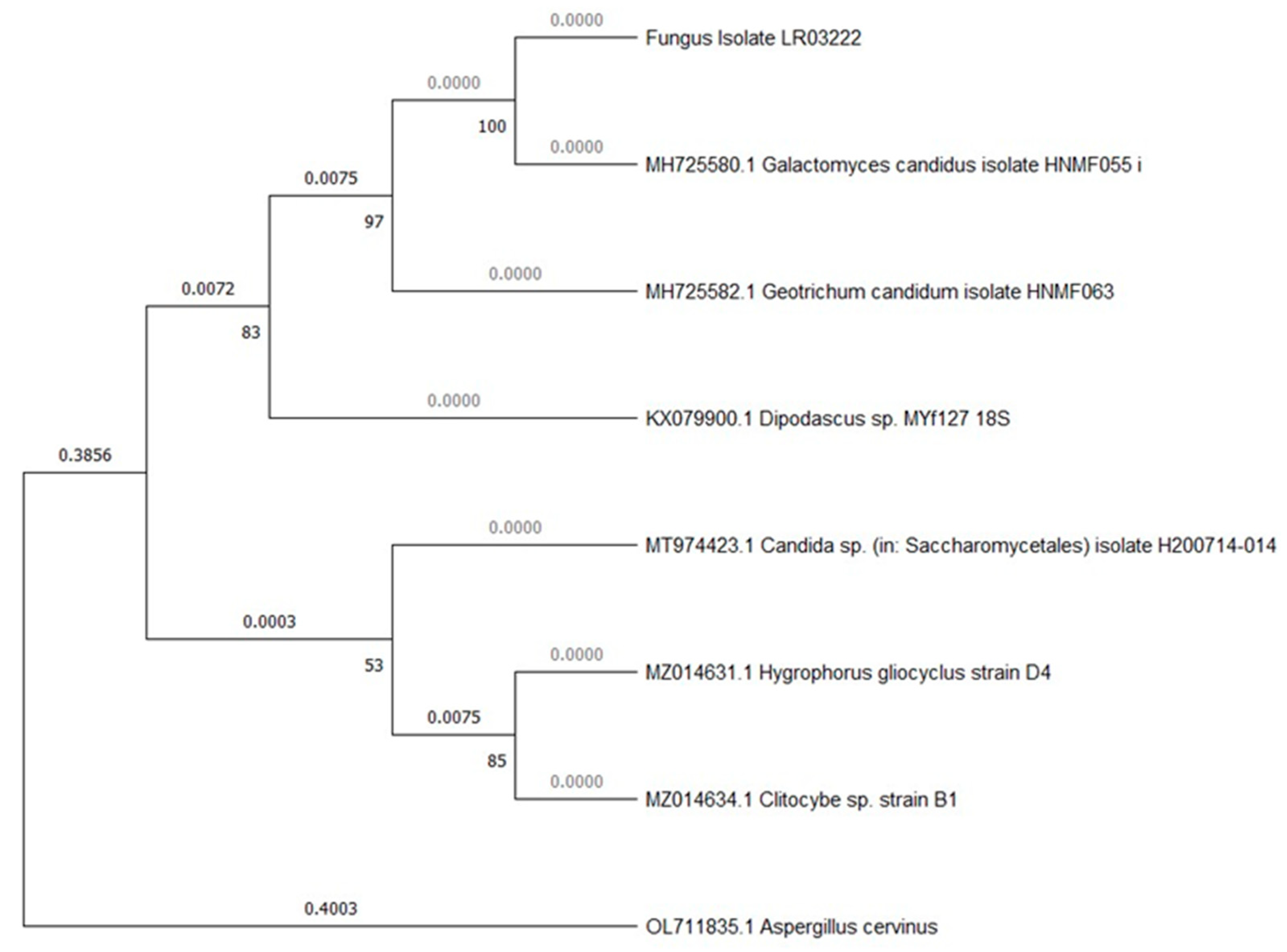 Microorganisms 12 00937 g003 Microorganisms 12 00937 g003