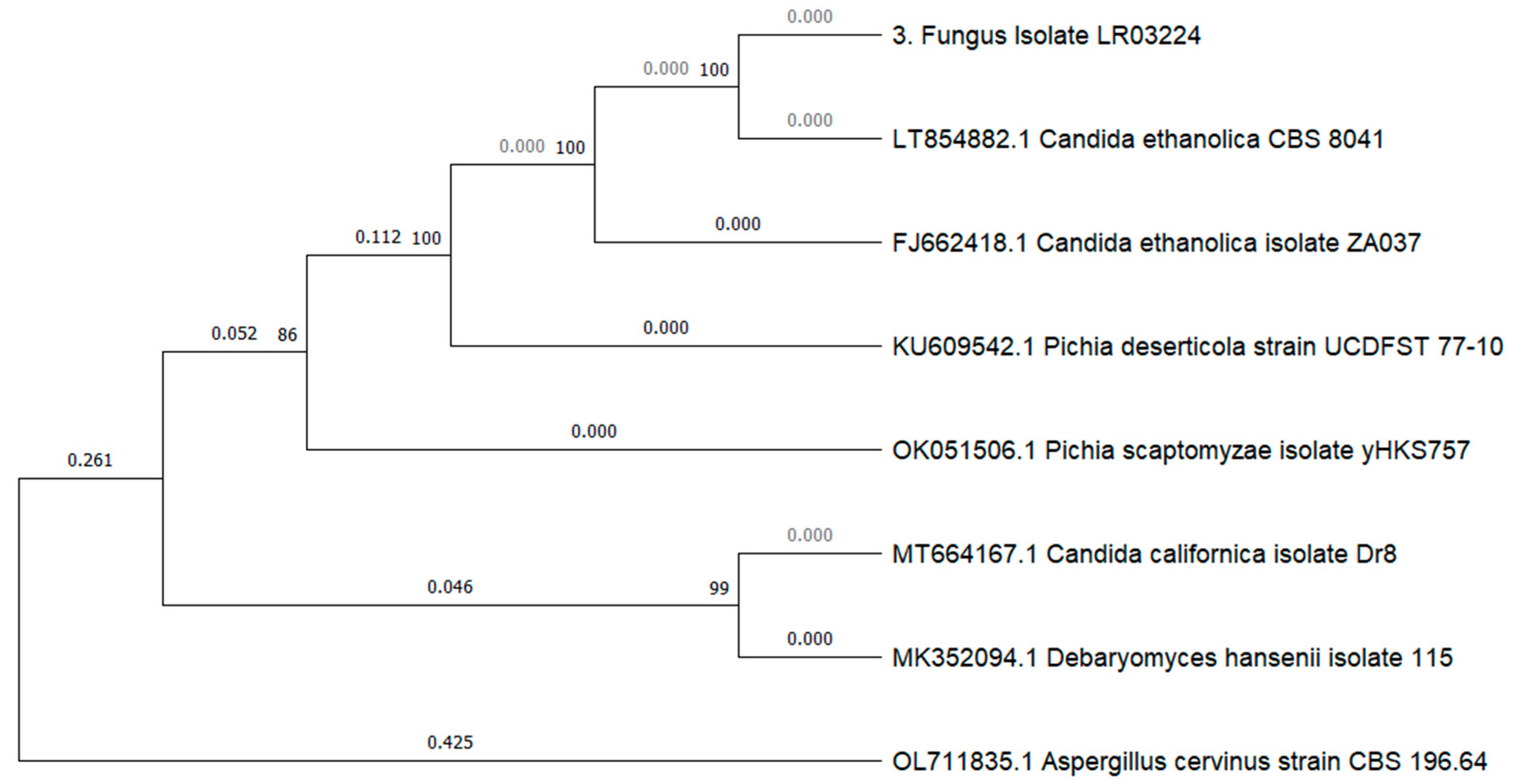 Microorganisms 12 00937 g005 Microorganisms 12 00937 g005