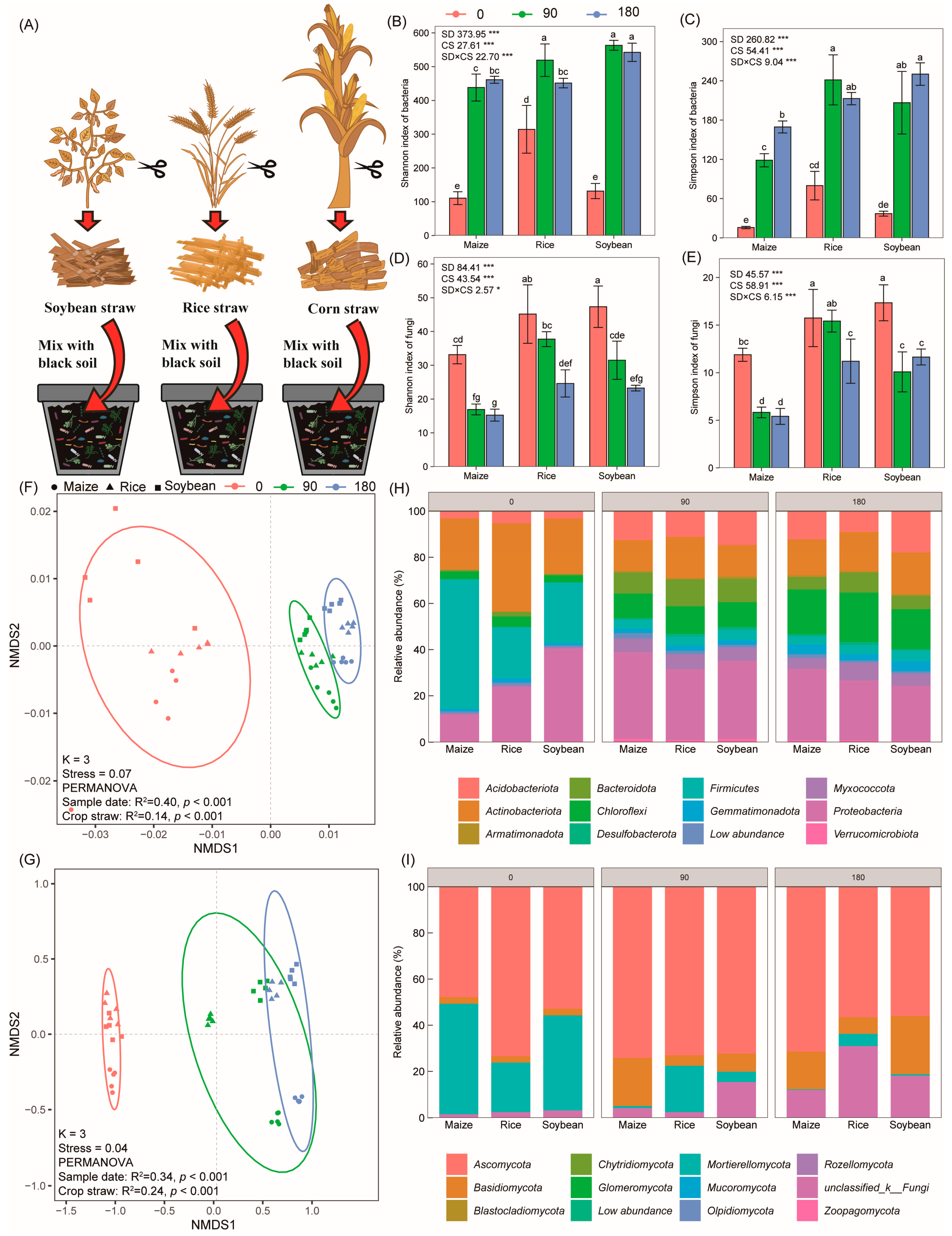 Microorganisms 12 00938 g001