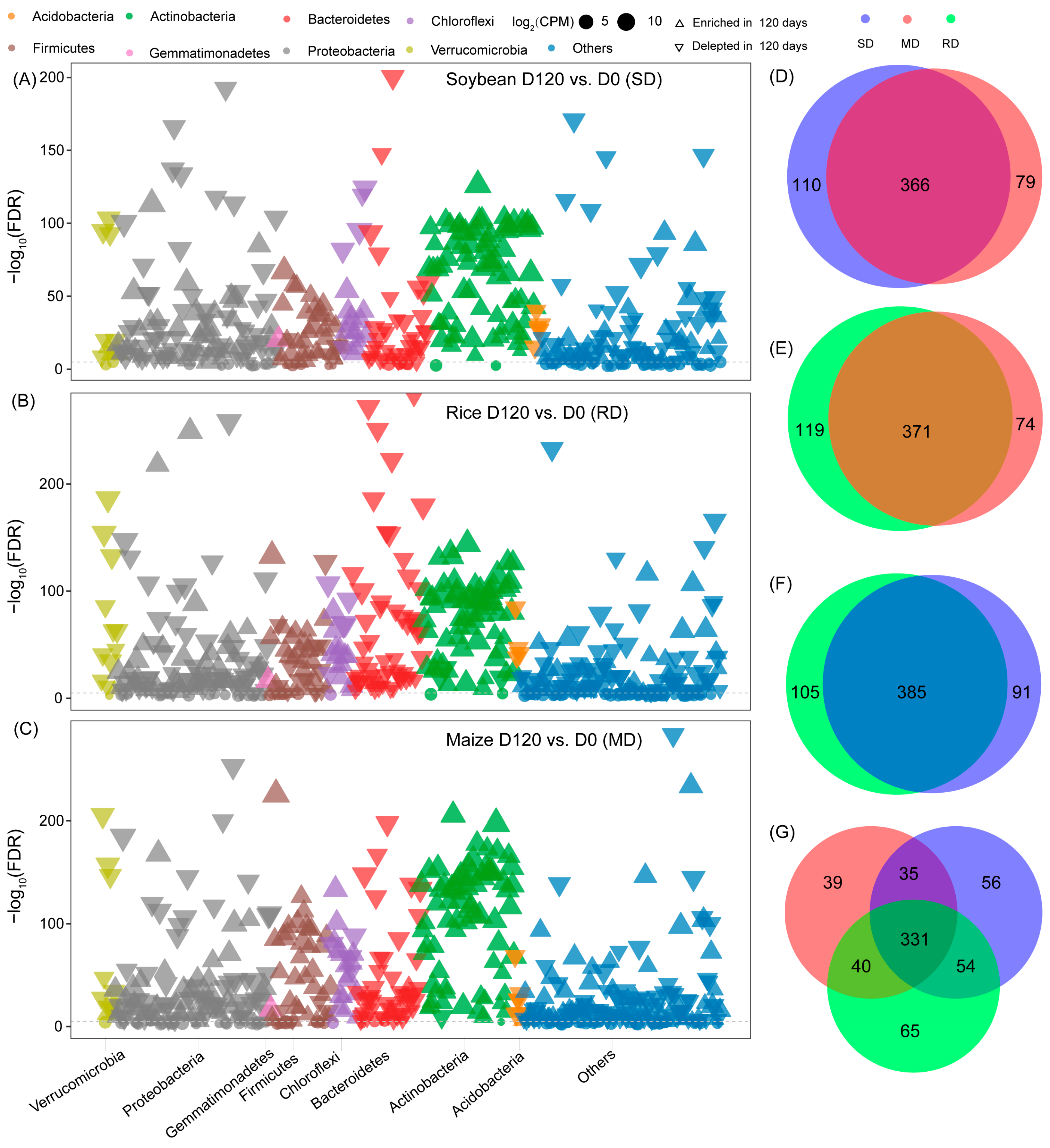Microorganisms 12 00938 g002