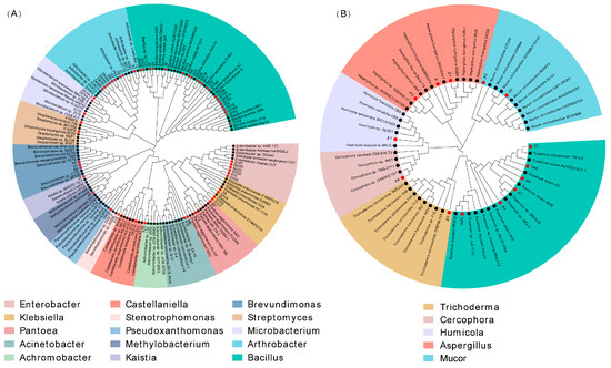Straw from Different Crop Species Recruits Different Communities