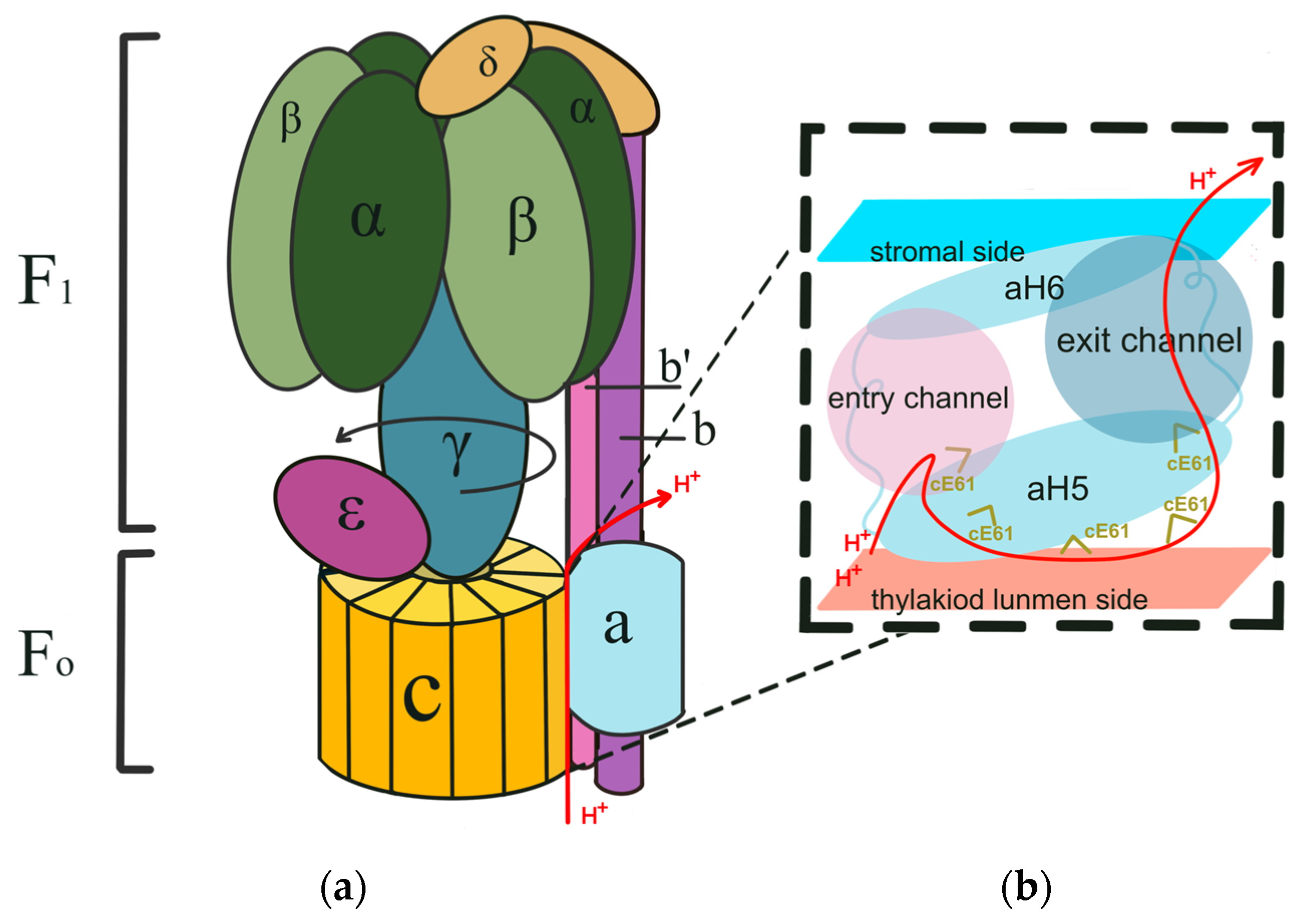 Microorganisms 12 00940 g001 Microorganisms 12 00940 g001