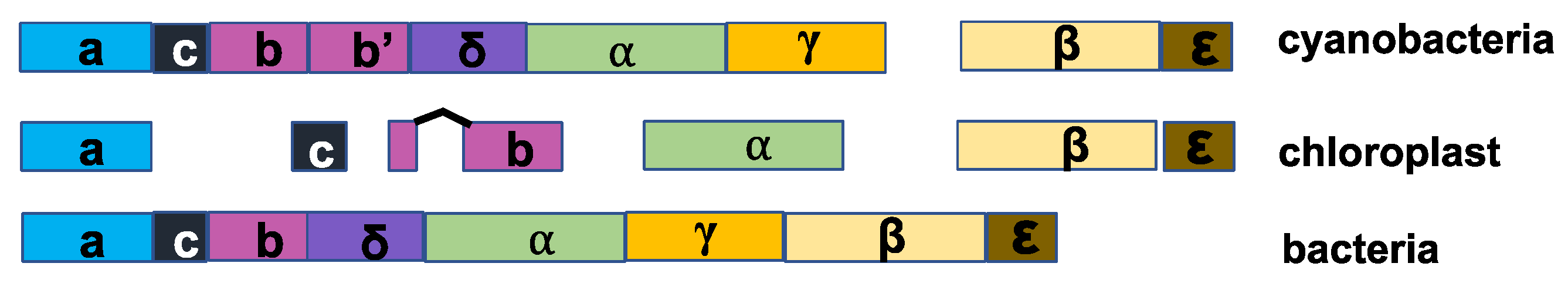 Microorganisms 12 00940 g002 Microorganisms 12 00940 g002
