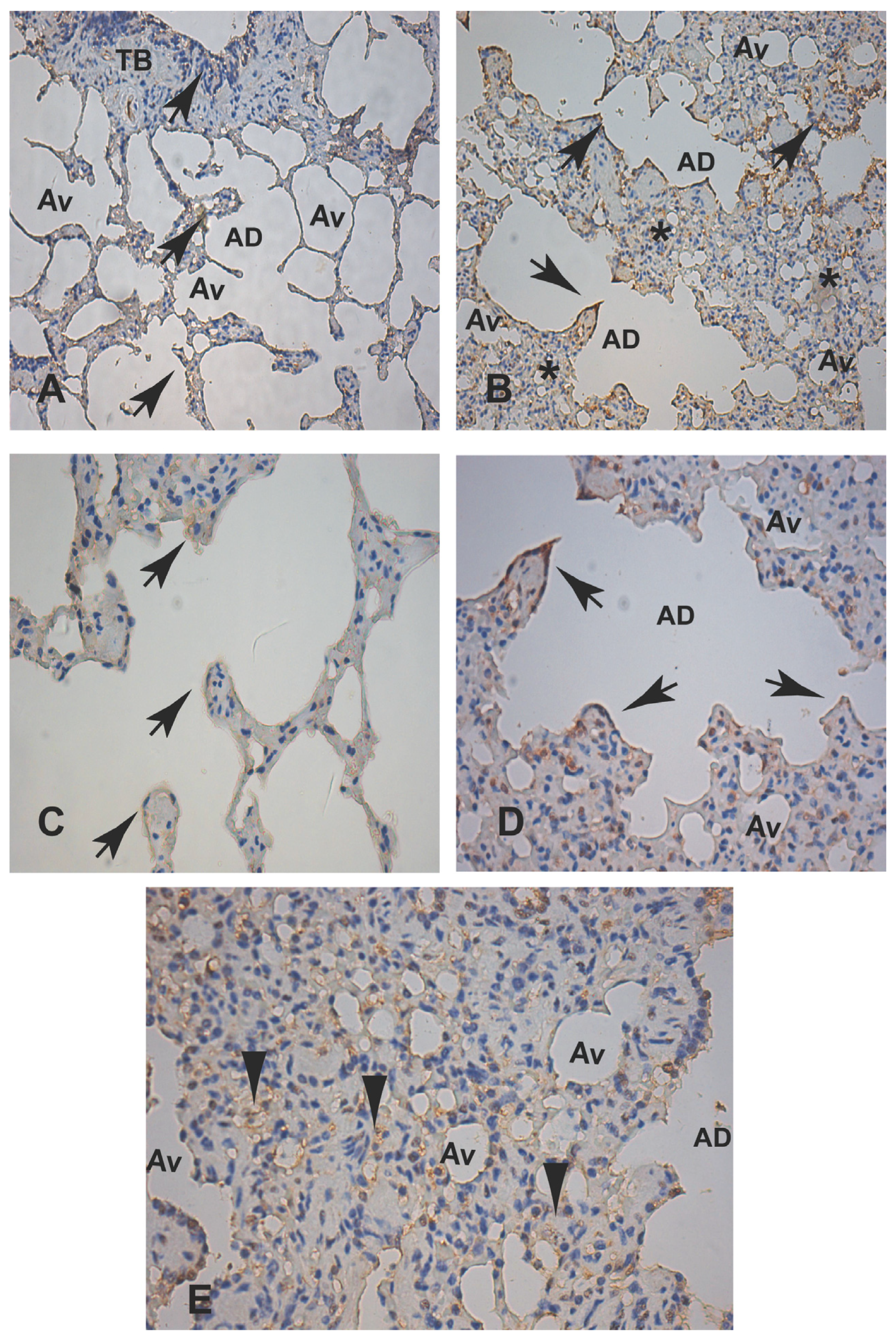 Microorganisms 12 00941 g006