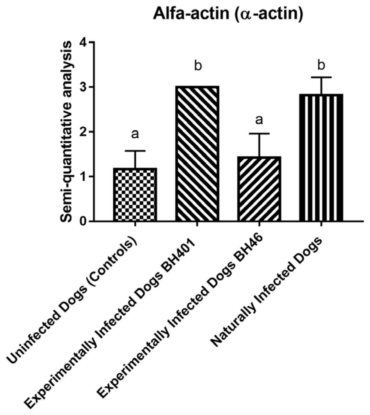 Microorganisms 12 00941 sch001