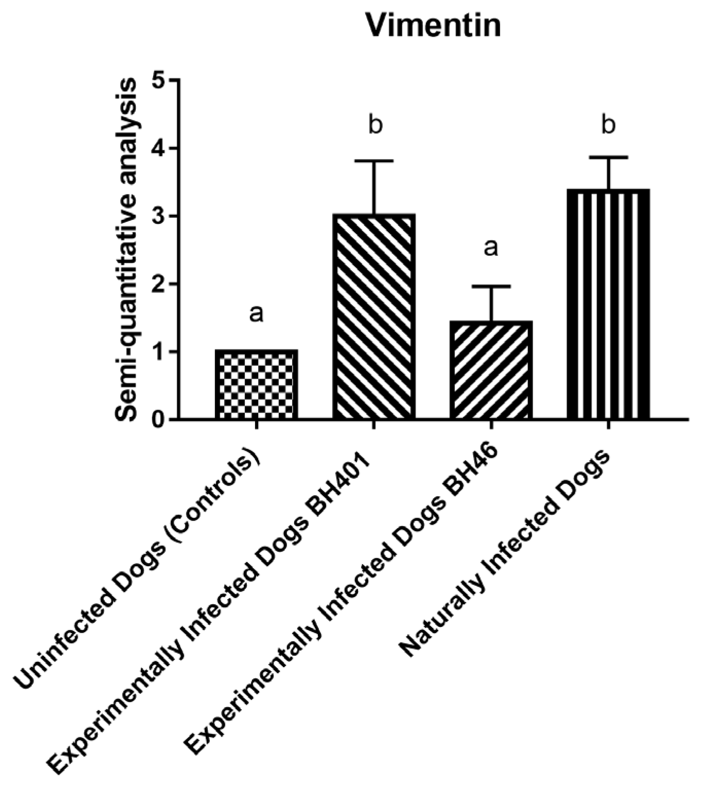 Microorganisms 12 00941 sch002