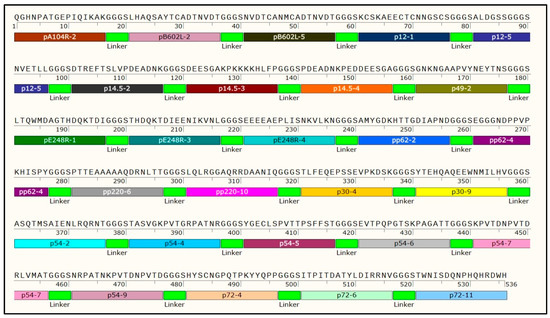 Establishment of an ELISA Based on a Recombinant Antigenic