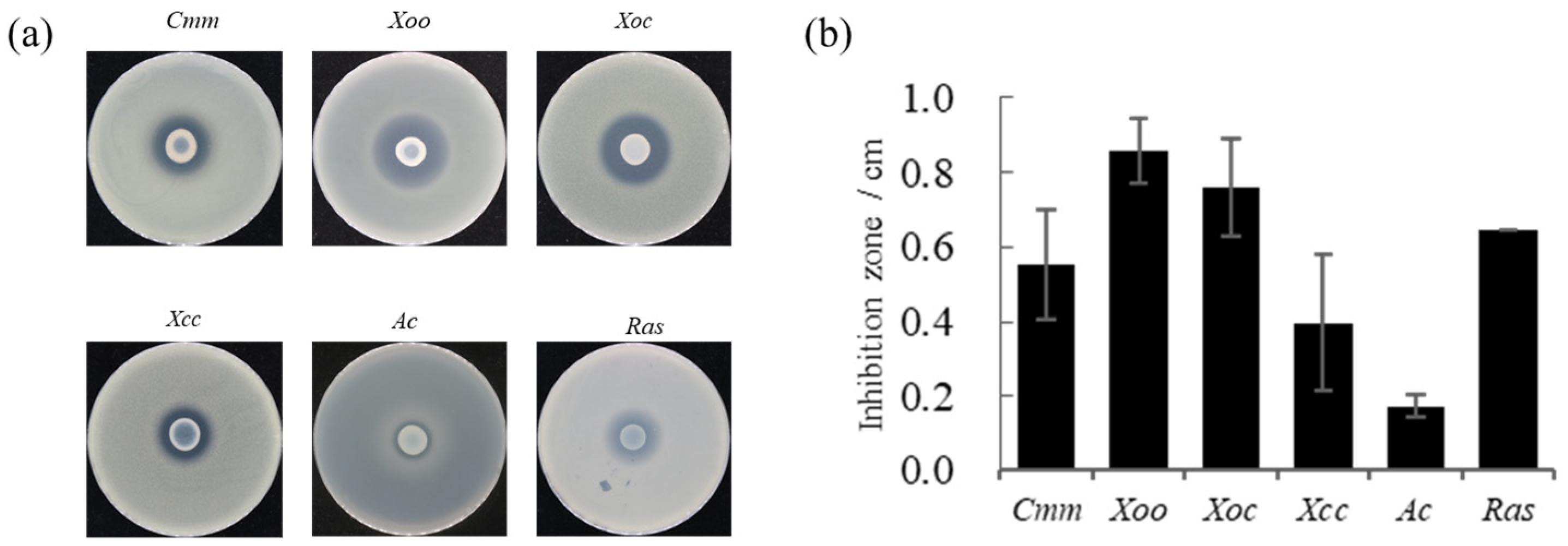 Microorganisms 12 00944 g001