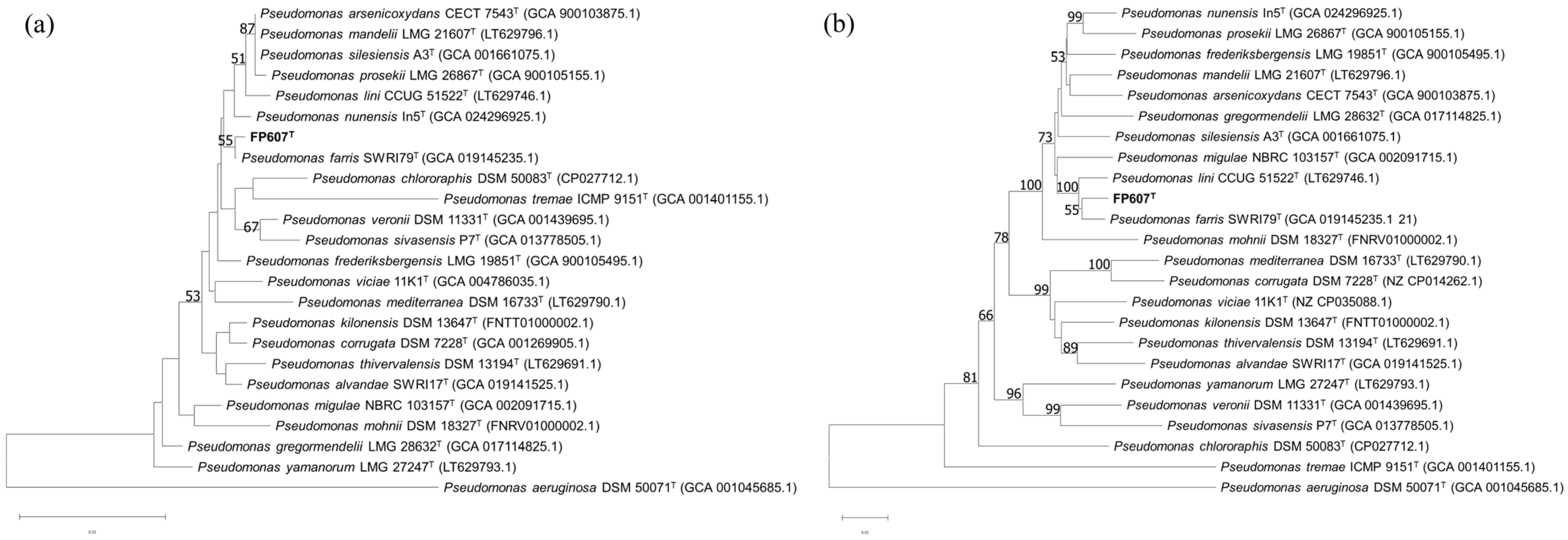 Microorganisms 12 00944 g003