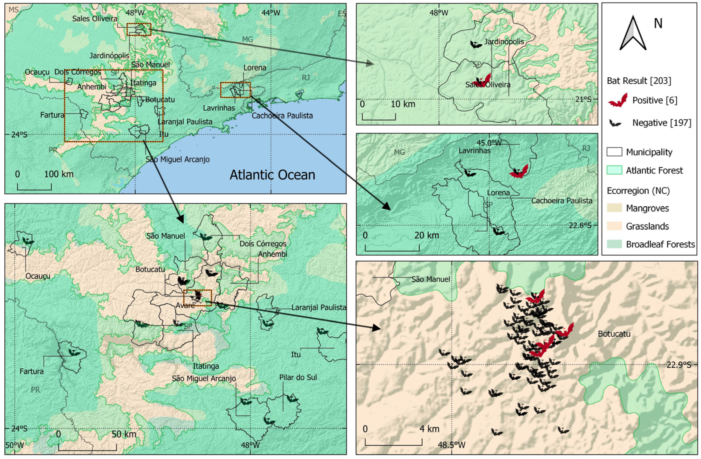 Microorganisms 12 00945 g002