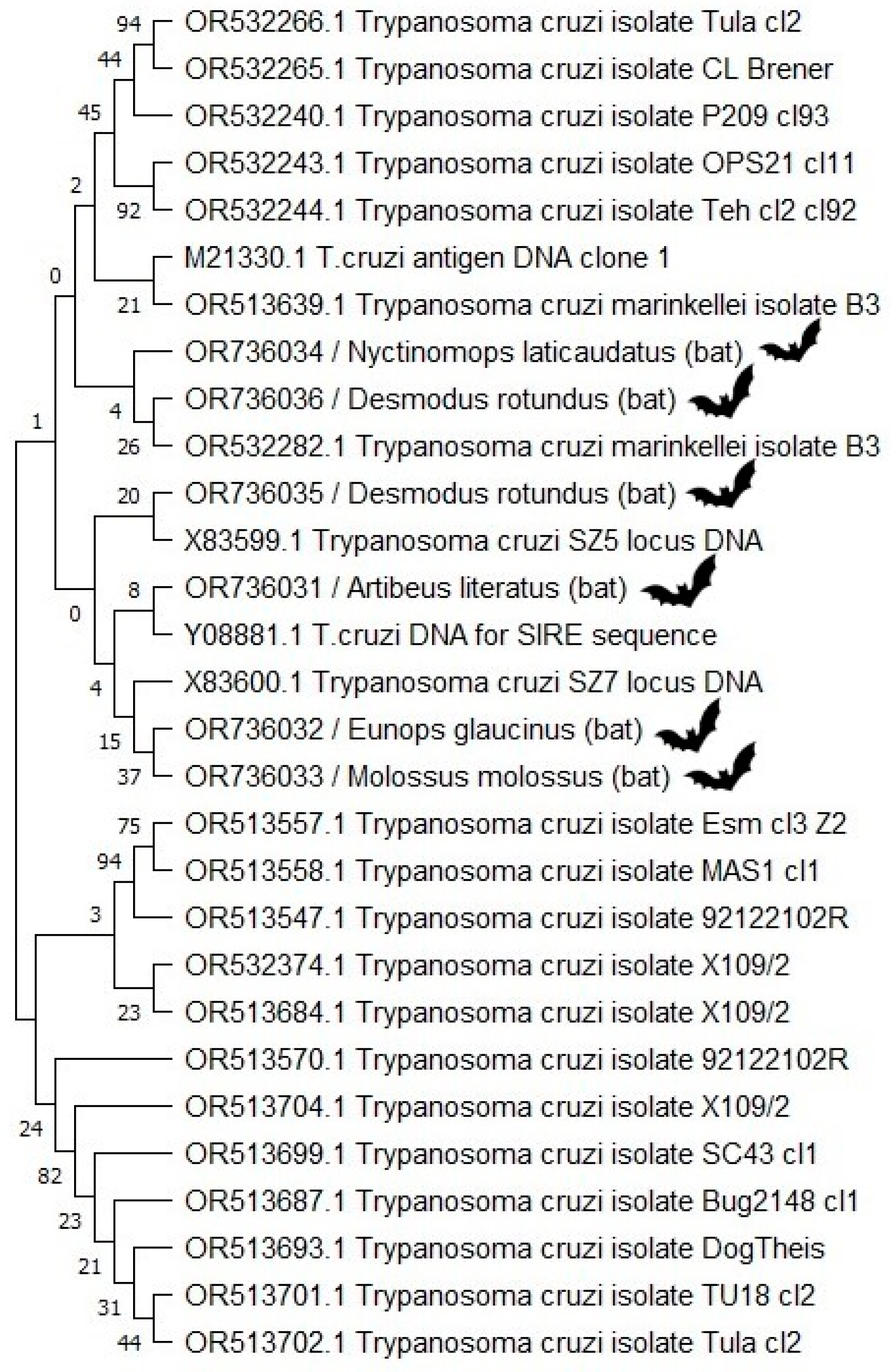 Microorganisms 12 00945 g003