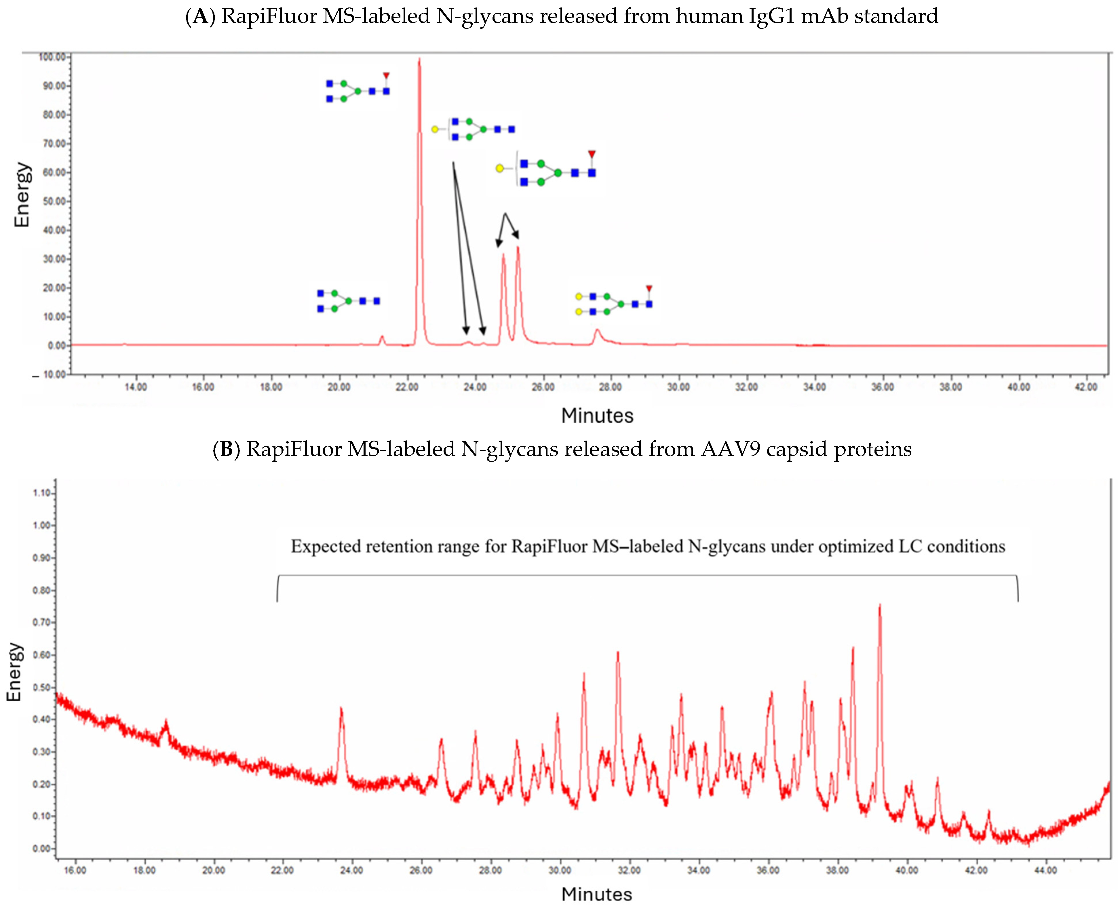 Microorganisms 12 00946 g004