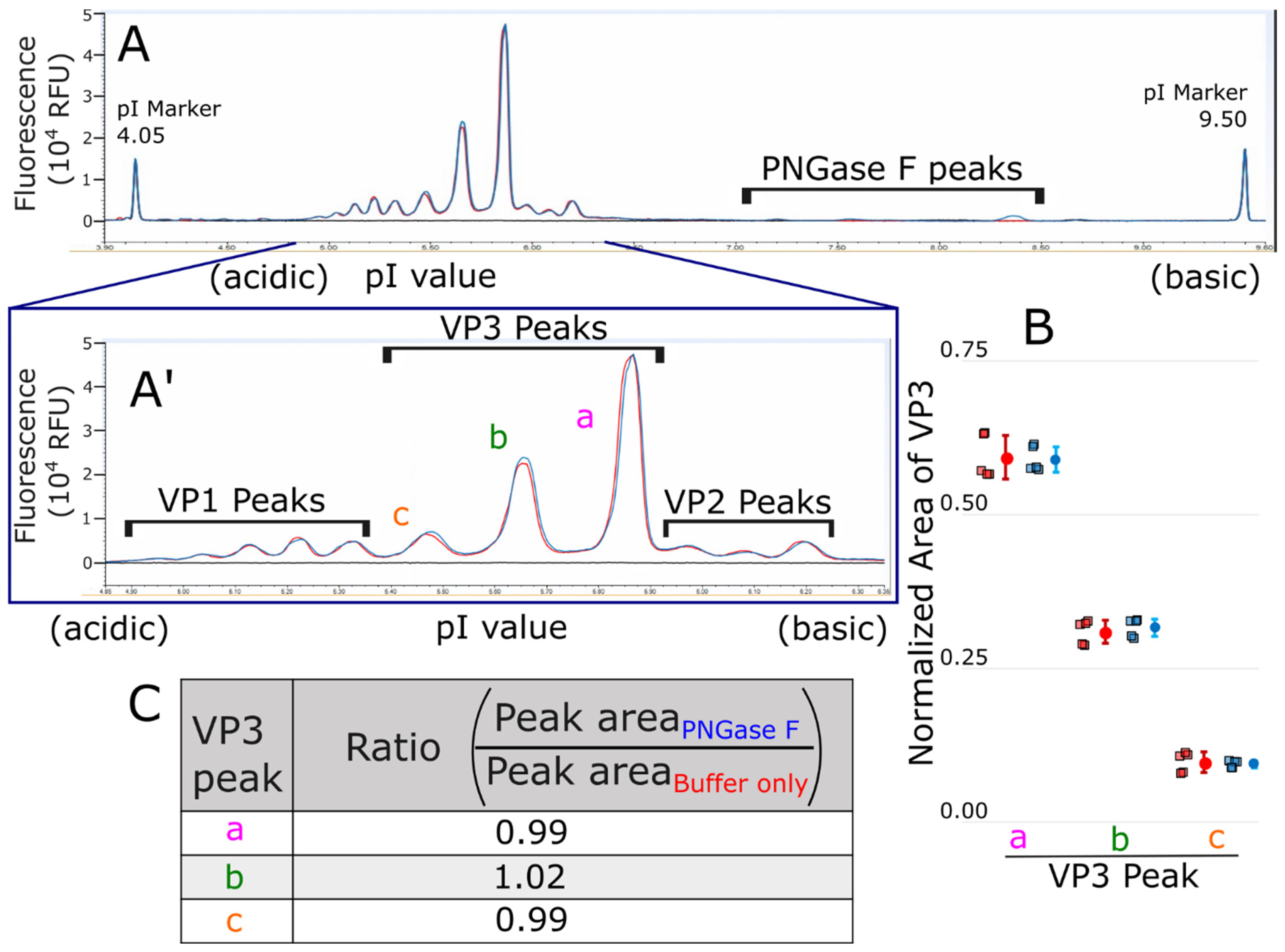 Microorganisms 12 00946 g007