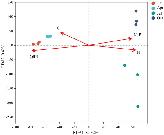 Fast Bacterial Succession Associated with the Decomposition