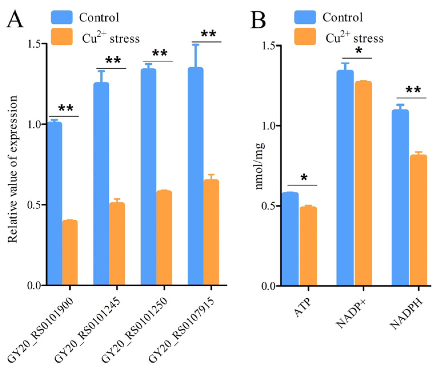 Microorganisms 12 00951 g002