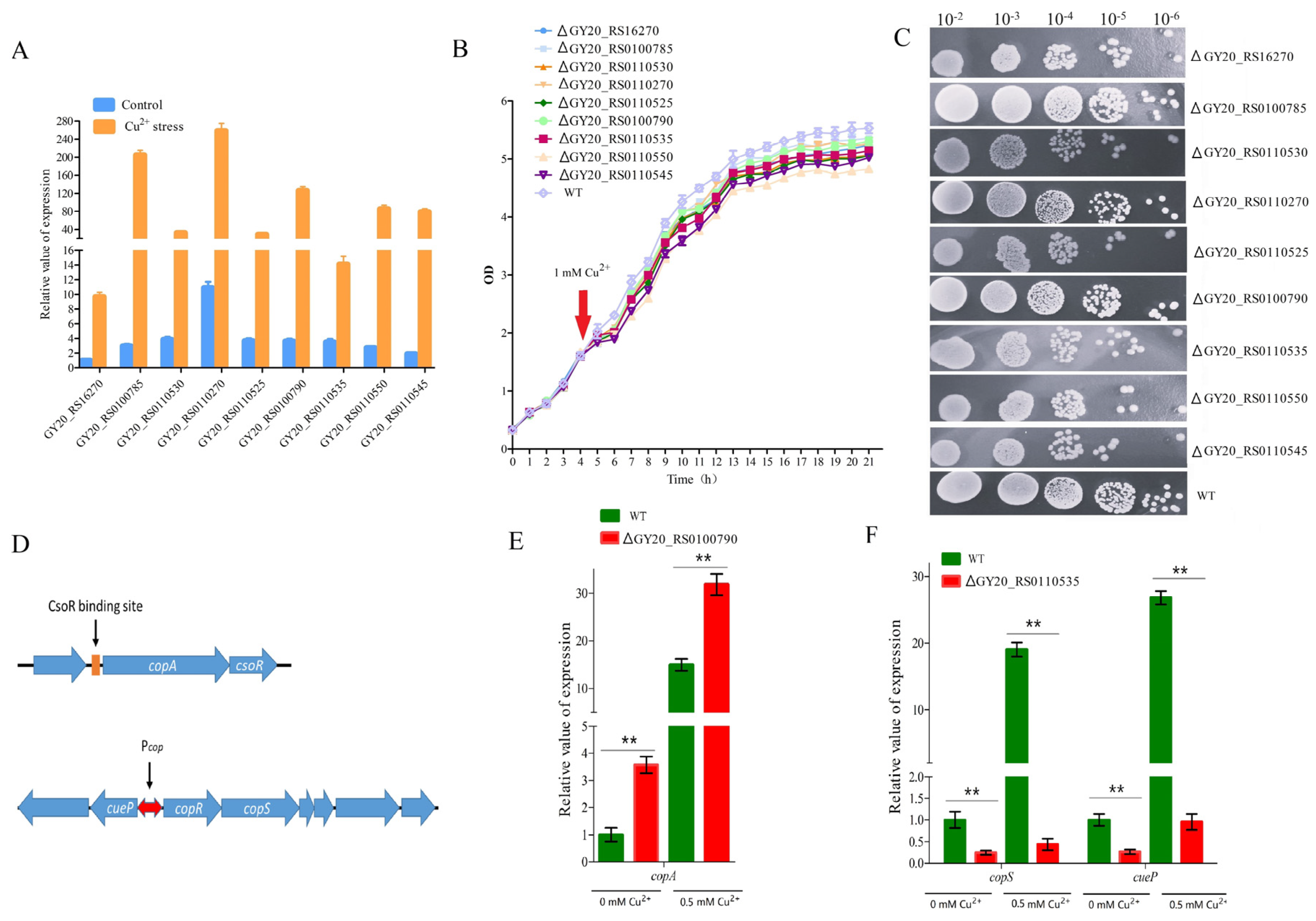 Microorganisms 12 00951 g003