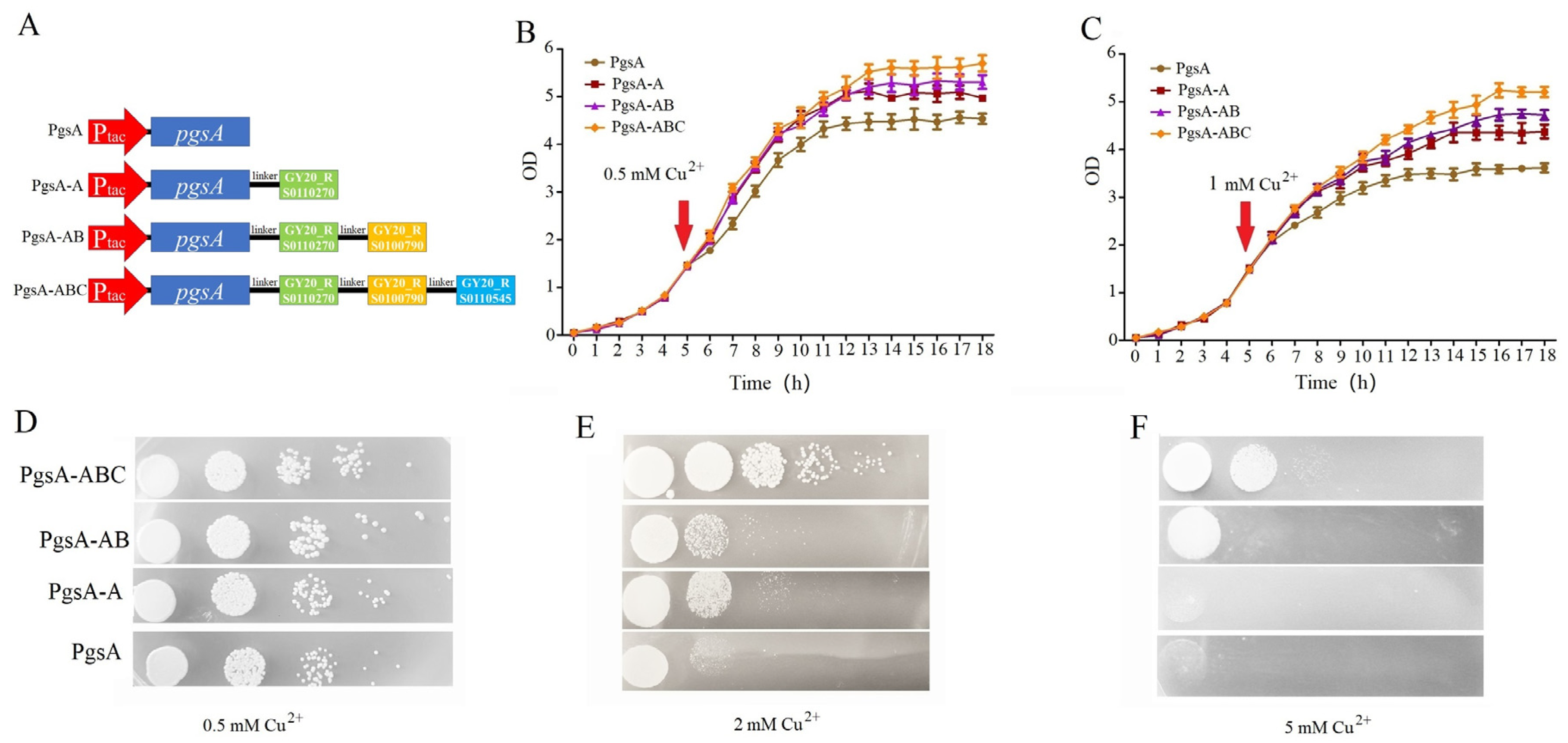 Microorganisms 12 00951 g004