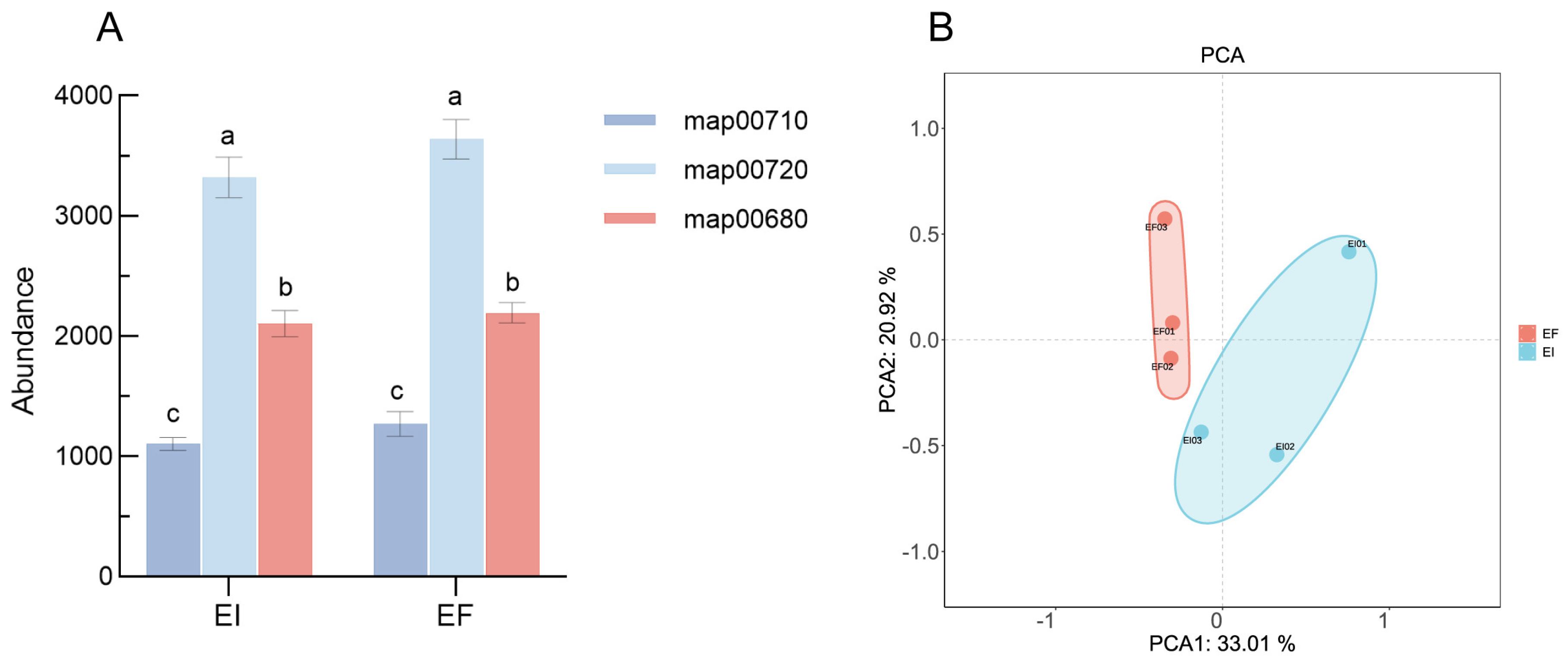 Microorganisms 12 00956 g001