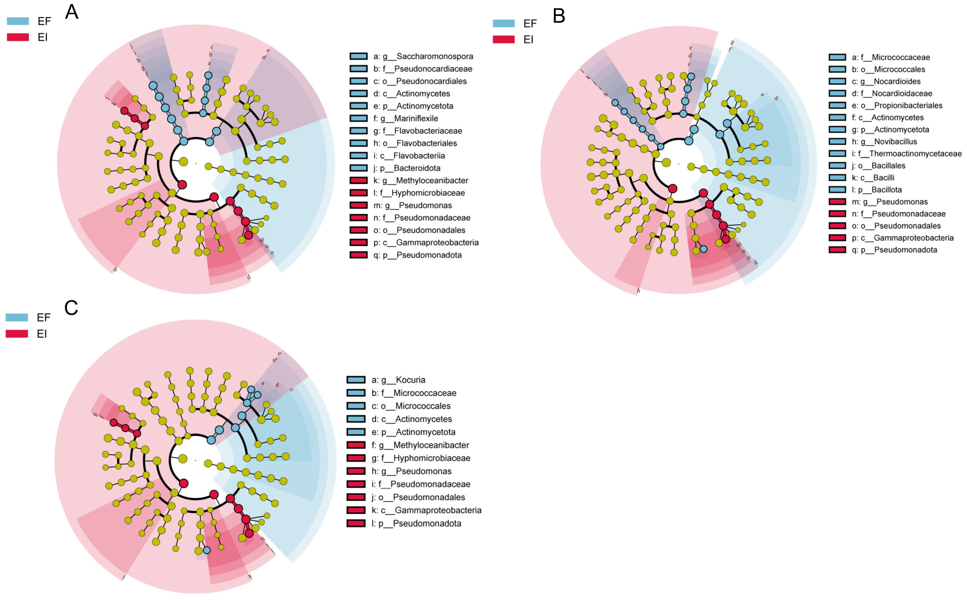 Microorganisms 12 00956 g004