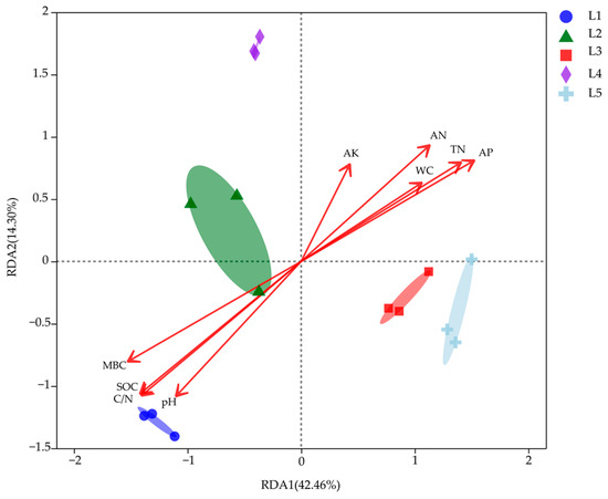 The Heterogeneous Habitat of Taiga Forests Changes the Soil