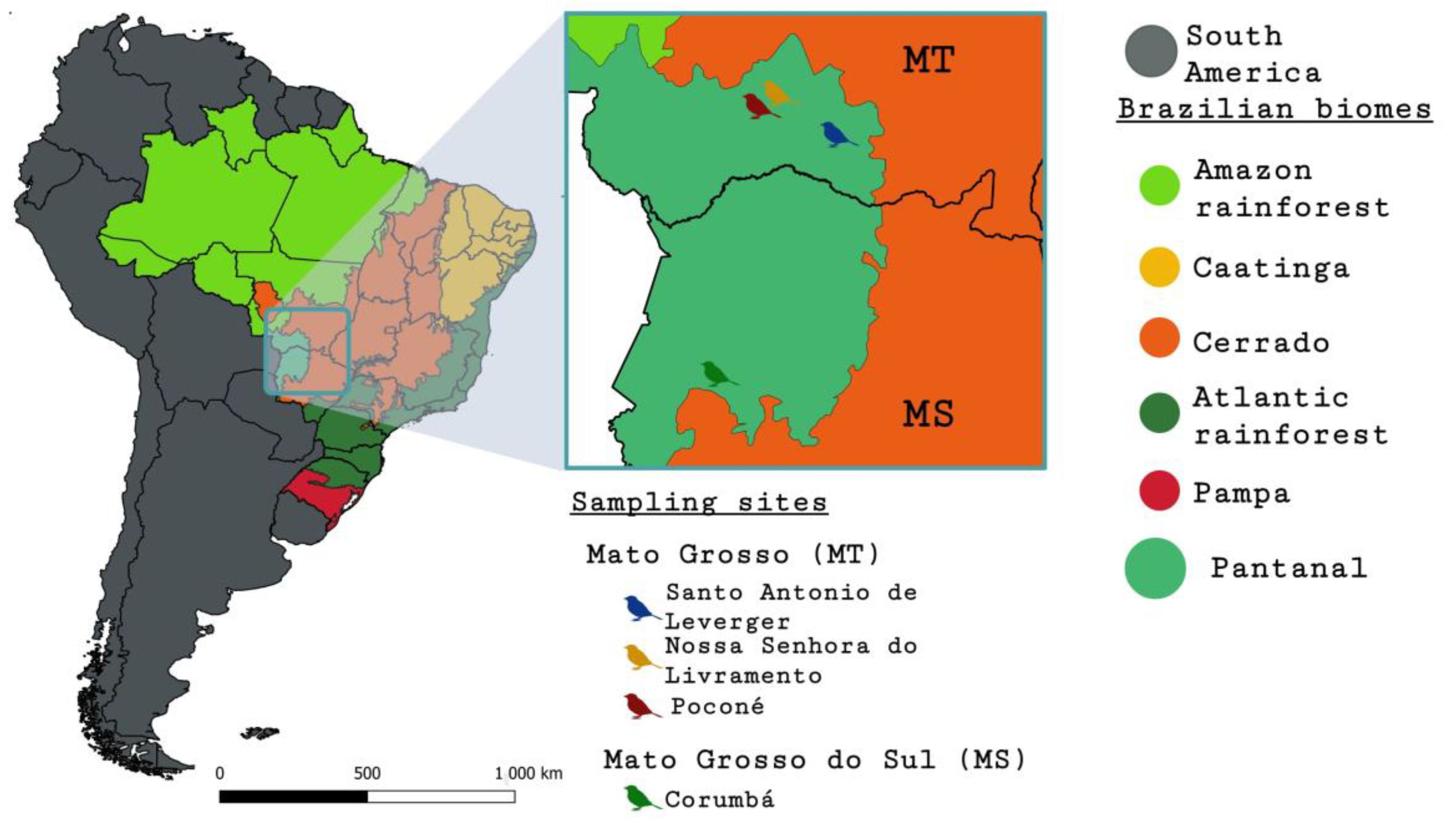 Microorganisms 12 00962 g001