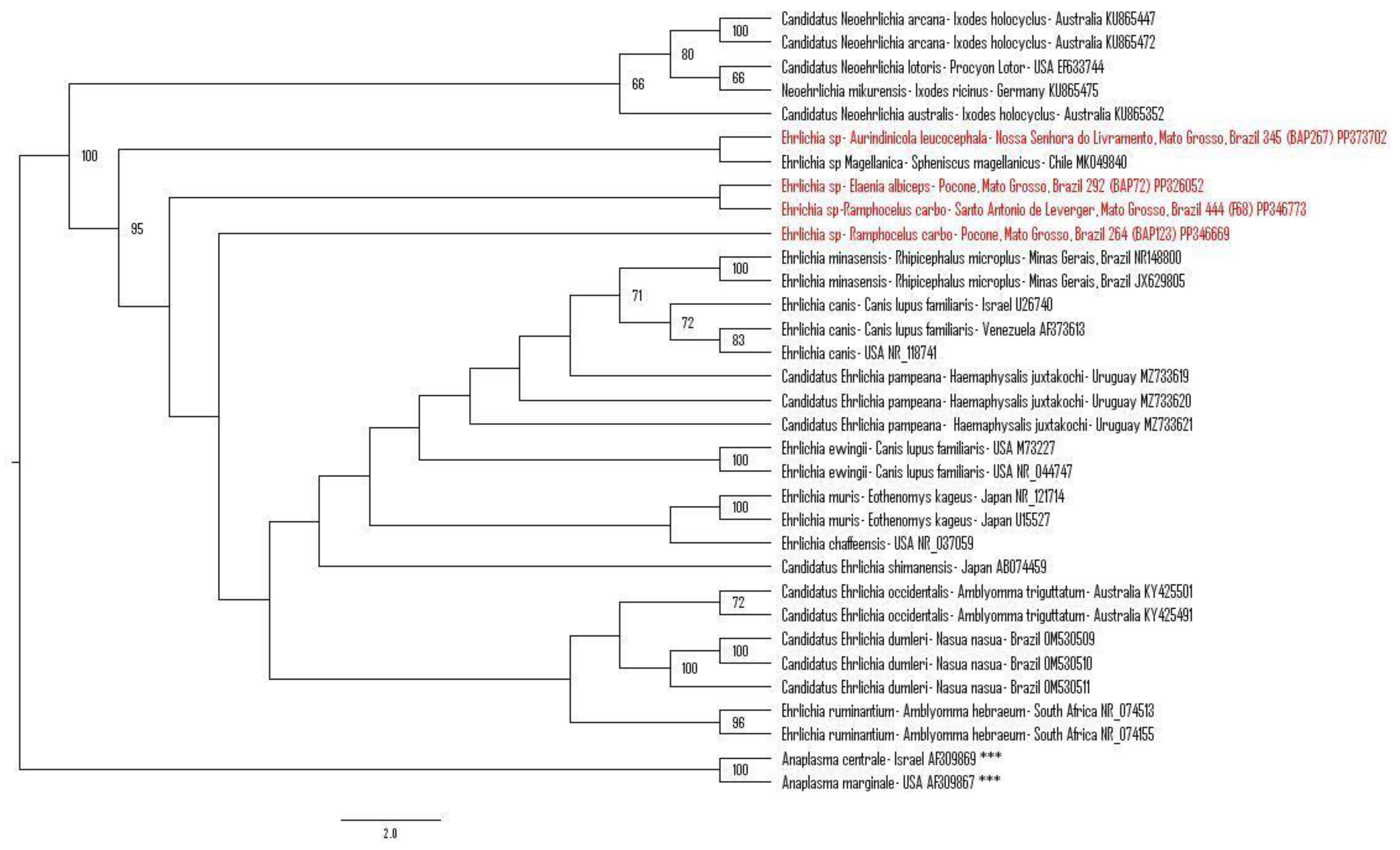 Microorganisms 12 00962 g003