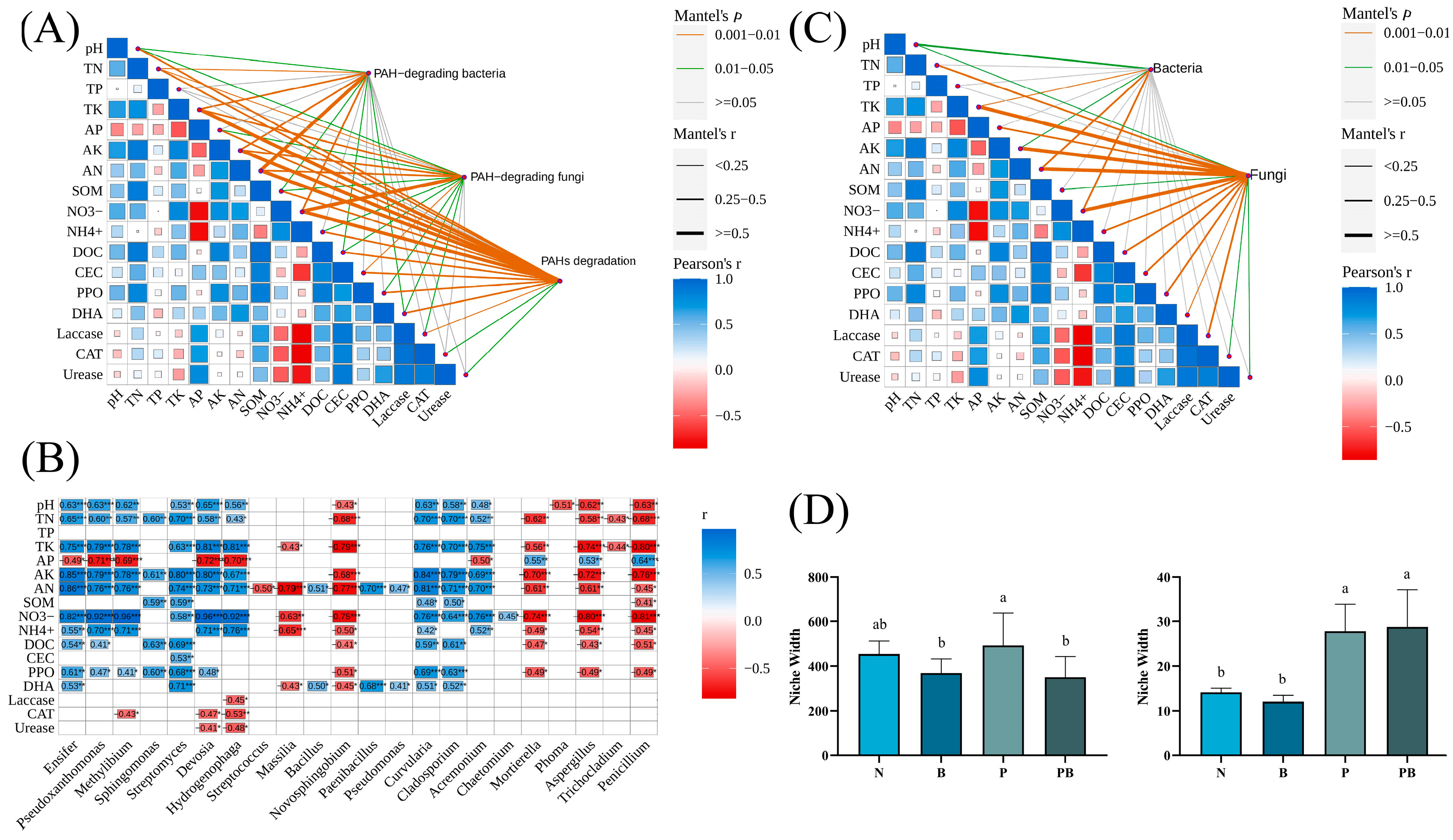 Microorganisms 12 00968 g004