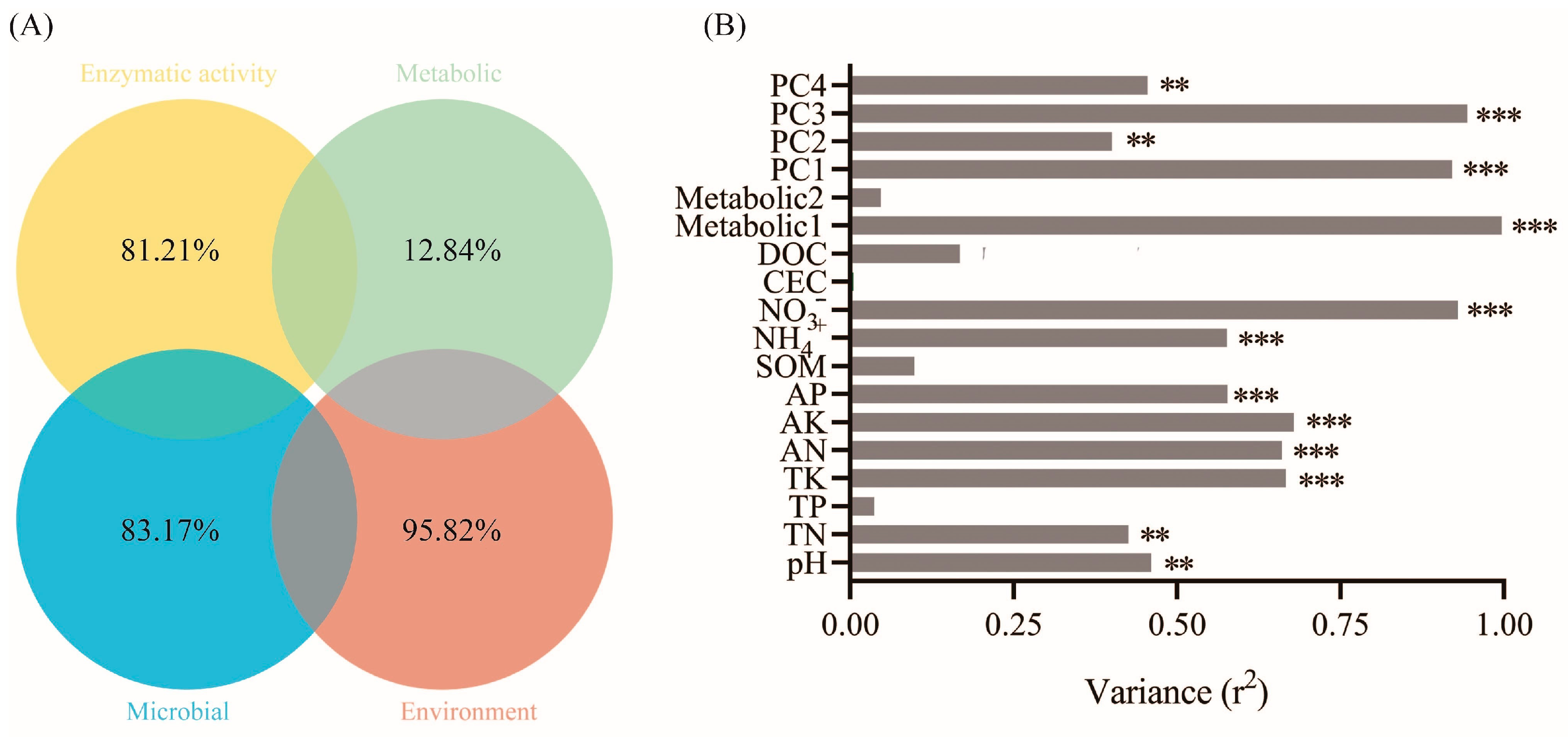 Microorganisms 12 00968 g006
