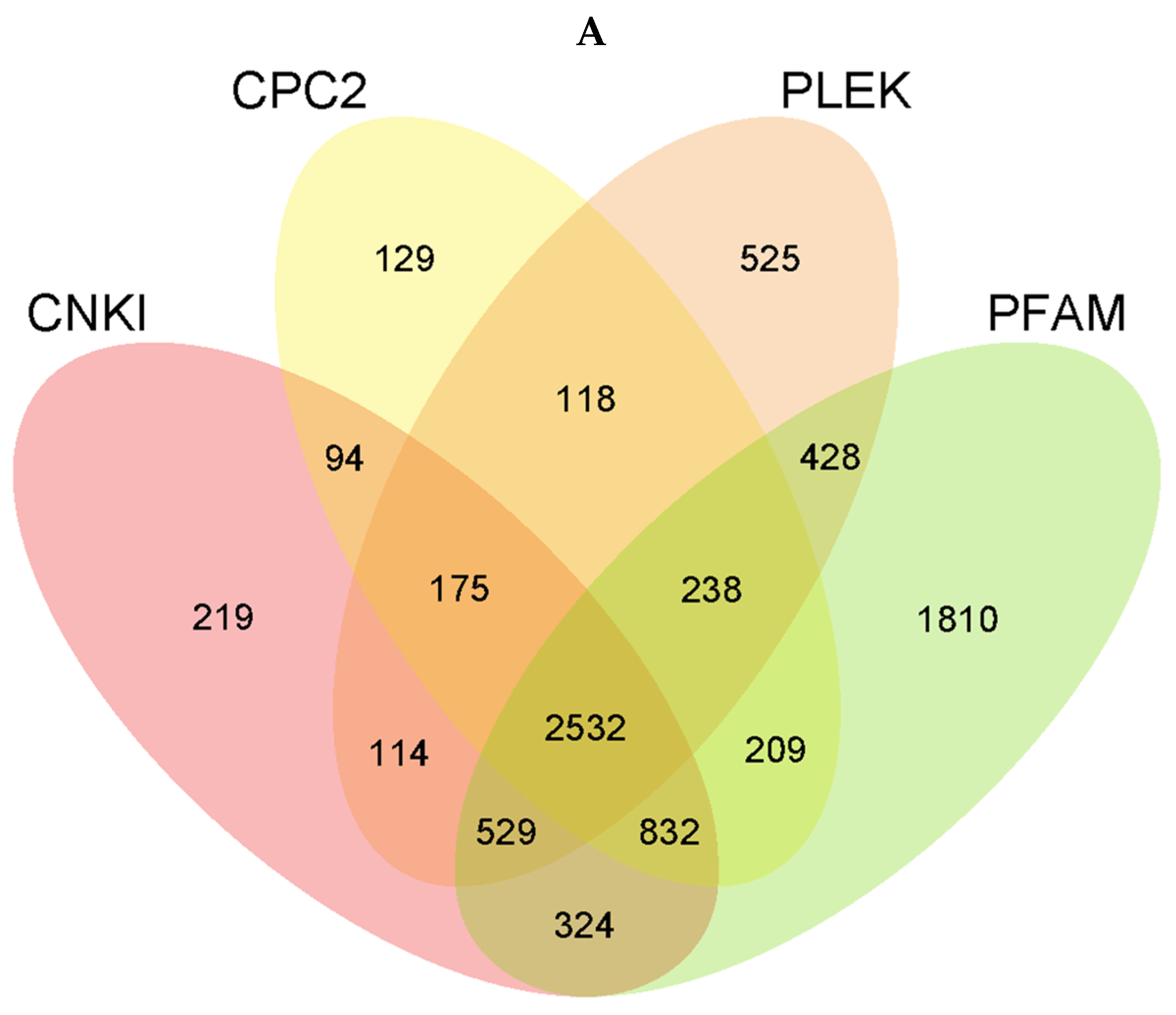 Microorganisms 12 00971 g001a